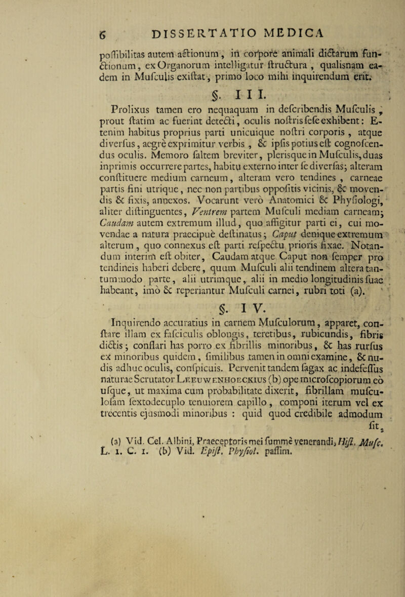 poffibilitas autem a&ionurri, in cofpore animali di&arum fun¬ ctionum, ex Organorum intelligatur ftru&ura , qualisnam ea¬ dem in Mufculis exillat, primo loco mihi inquirendum erit. §. I I I. Prolixus tamen ero nequaquam in defcribendis Mufculis , prout ftatim ac fuerint detedli, oculis noftrisfefe exhibent: E- tenim habitus proprius parti unicuique noftri corporis , atque di verfus, aegre exprimitur verbis , &C iplis potius elt cognofeen- dus oculis. Memoro faltem breviter, plerisquein Mufculis,duas inprimis occurrere partes, habitu externo inter fediverfas; alteram conftituere medium carneum, alteram vero tendines , carneae partis fini utrique, nec non partibus oppofitis vicinis, &c moven¬ dis &c fixis, annexos. Vocarunt vero Anatomici Sc Phyfiologi, aliter diftinguentes, Ventrem partem Mufculi mediam carneam} Caudam autem extremum illud, quo affigitur parti ei, cui mo¬ vendae a natura praecipue deftinatus; Caput denique extremum alterum , quo connexus eft parti rcfpectu prioris fixae. Notan¬ dum interim elt obiter. Caudam atque Caput non femper pro tendineis haberi debere, quum Mufculi alii tendinem altera tan¬ tummodo parte, alii utrimque, alii in medio longitudinisfuae habeant, imo 6c reperiantur Mufculi carnei, rubri toti (a). §. 1 v. Inquirendo accuratius in carnem Mufculorum, apparet, con¬ flare illam ex fafciculis oblongis, teretibus, rubicundis, fibris didtis; conflari has porro ex fibrillis minoribus, 8c has rurfus ex minoribus quidem, fimilibus tamen in omni examine, Renu¬ dis adhuc oculis, confpicuis. Pervenit tandem fagax ac indefeflus naturae Scrutator Leeuwenhoeckius (b) ope rmerofeopiorum eo ufque, ut maxima cum probabilitate dixerit, fibrillam mufcii- lofam fextodecuplo tenuiorem capillo, componi iterum vel ex trecentis ejusmodi minoribus : quid quod credibile admodum ut, (3) Vid. Cei. Albini, Praeceptoris mei fumme venerandi, Hifi, Mufc, L. 1. C. 1. (b) Vid. Epift. Pby/jol, paffim.