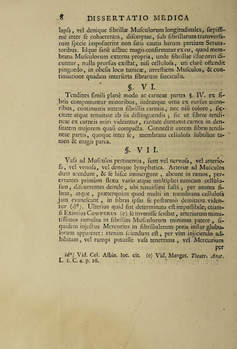 lapfa, vel denique fibrillae Mufculorumlongitudinales, faepiffi- me inter fe cohaerentes, difcerptae, fub fibrillarumtransverfa- rum fipecie impofuerint non fiatis cautis harum pardum Scruta¬ toribus. Idque fiane adhuc magis confirmatur exeo, quod mem¬ brana Mufculorum externa propria, unde fibrillae illae oriri di¬ cuntur , nulla prorfius exiftat, nili cellulofia, uti clare oftcndit pinguedo, in obefis loco tunicae, inveftiens Muficulos, & con¬ tinuatione quadam interfierta fibrarum fasciculis. ; §. vi. Tendines fimili plane modo ac carneae partes §. IV. cx fi¬ bris componuntur minoribus, iisdemque ortis ex rurfius mino-* ribus, continuatis autem fibrillis carneis, nec nifi colore , fic- citate atque tenuitate ab iis diftinguendis ; fic ut fibrae-tendi¬ neae ex carneis oriri videantur, raritate duntaxat carnea in den- fitatem majorem quafii compadla. Connedlit autem fibras tendi¬ neae partis, quoque inter fe, membrana cellulofia fiubtilior ta¬ men & mads parea. 5. VH » i.; Vafia ad Muficulos pertinentia, fiunt vel nervofa, vel arterio¬ la, vel venofia, vel denique lymphatica. 'Arteriae ad Muficulos dum accedunt, £c fe hifice immergunt , abeunt in ramos, per¬ errantes primum flexu vario atque multiplici tunicam cellulo- fiam, difeurrentes deinde , ubi tenuiflimi fa£bi , per omnes fi¬ bras, atque , praeterquam quod multi in membrana cellulofia jam evaneficant , in fibras ipfias fe poftremo demittere viden¬ tur (d#). Ulterius quid fiat determinatu efi:impoflibile; etiam- fi Eximius Cowperus (e) fie invenifle ficiibat, arteriarum minu- tiflimos ramulos in fibrillas Mufculorum minimas patere , fi- quidem injedtus Mercurius in fibrillularum poris inflar globu¬ lorum appareret: etenim ficiendum cft, per vim injiciendo ad¬ hibitam , vel rumpi potuifle vafia tenerrima , vel Mercurium per (d*) Vid. Cei. Albin. loc. cit. (e) Vid. Manget. Tbeatr. An at,