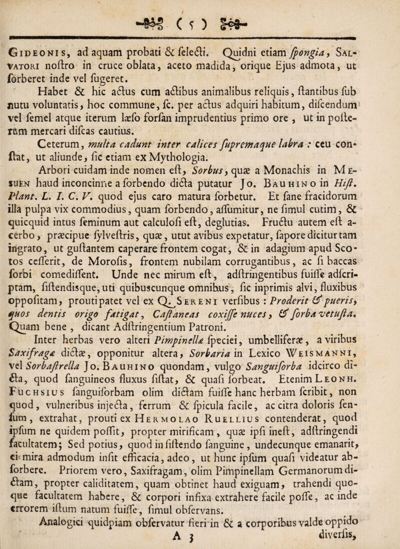 “#£ ( O 149- Gideonis, ad aquam probati & felefli. Quidni etiam fpongia, Sal¬ vatori noftro in cruce oblata, aceto madida, orique Ejus admota, ut forberet inde vel fugeret. Habet & hic aftus cum aflibus animalibus reliquis, flantibus fub nutu voluntatis, hoc commune, fc. per actus adquiri habitum, difcendum1 vel femel atque iterum kefo forfan imprudentius primo ore , ut in polle¬ rem mercari difcas cautius. Ceterum, multa cadunt inter calices fupremaque labra : ceu con® fiat, ut aliunde, ftc etiam ex Mythologia. Arbori cuidam inde nomen eft, Sorbus, quae a Monachis in Me» suen haud inconcinne aforbendo di£ta putatur Jo. BAUHiNoin Hift. Piant. L. I. C. V. quod ejus caro matura forbetur. Et fane fracidorum illa pulpa vix commodius, quam forbendo, alfumitur, ne fimul cutim, & quicquid intus feminum aut calculofi eft, deglutias. Fru6tu autem eft a- cerbo, praecipue fylveftris, quae, utut avibus expetatur, fapore dicitur tam ingrato, ut guftantem caperare frontem cogat, & in adagium apud Sco¬ tos cefferit, de Morofls, frontem nubilam corrugantibus, ac fi baccas forbi comediflent. Unde nec mirum eft, adftringentibus fuifle adfcri- ptam, fiftendisque,uti quibuscunque omnihus, fic inprimis alvi, fluxibus oppofitam, proutipatet vel ex Q^Sereni verfibus : Proderit & pueris, quos dentis origo fatigat, Caftaneas coxijfe nuces , forbavetufta. Quam bene , dicant Adftringentium Patroni. Inter herbas vero alteri Pimpinella fpeciei, umbelliferae, a viribus Saxifraga diclae, opponitur altera, Sorbaria in Lexico Weismanni, vel Sorbaflrella Jo. Bauhino quondam, vulgo Sangmforba idcirco di- £la, quod fanguineos fluxus fiftat, & quafi lorbeat. EtenimLeonh. Fuchsius fanguiforbam olim di6lam fuifle hanc herbam fcribit, non quod, vulneribus inje&a, ferrum & fpicula facile, ac citra doloris fen- liitn, extrahat, prouti ex Hermolao Ruellius contenderat, quod ipfum ne quidem poflit, propter mirificam , quse ipfiineft, adftringendi facultatem; Sed potius, quod in flftendo fanguine, undecunque emanarit, ei mira admodum infit efficacia, adeo, ut hunc ipfum quafi videatur ab - forbere. Priorem vero. Saxifragam, olim Pimpinellam Germanorumdi- <flam, propter caliditatem, quam obtinet haud exiguam, trahendi quo¬ que facultatem habere, Sc corpori infixa extrahere facile pofle, ac inde errorem iftum natum fuifle, fimul obfervans. Analogici quidpiam obfervatur fieri in & a corporibus valde oppido A j diverlis.