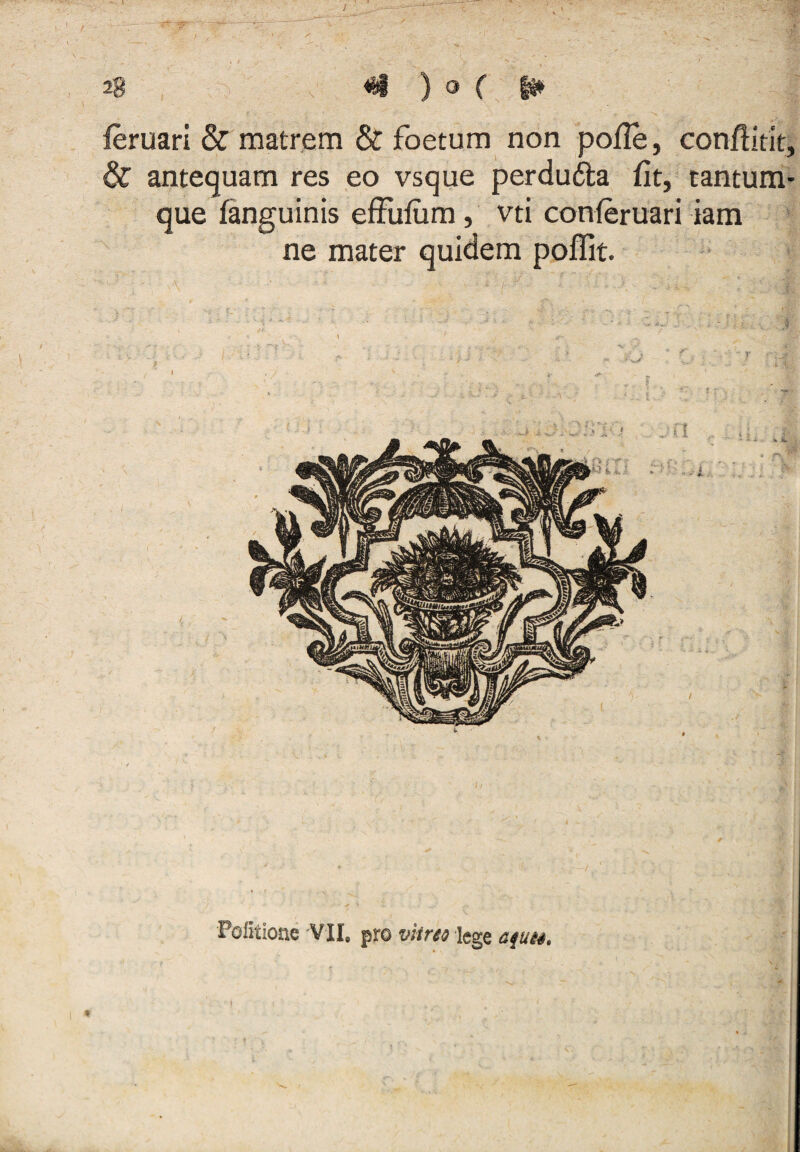 ■: > / 28 ■ v' ^ ) O ( ^ ^ leruari & matrem & foetum non pofle, conflititf, & antequam res eo vsque perdufta fit, tantuniC que fanguinis effufum, vti conferuari iam ne mater Politione'VIIs pto icgQ afuu, '