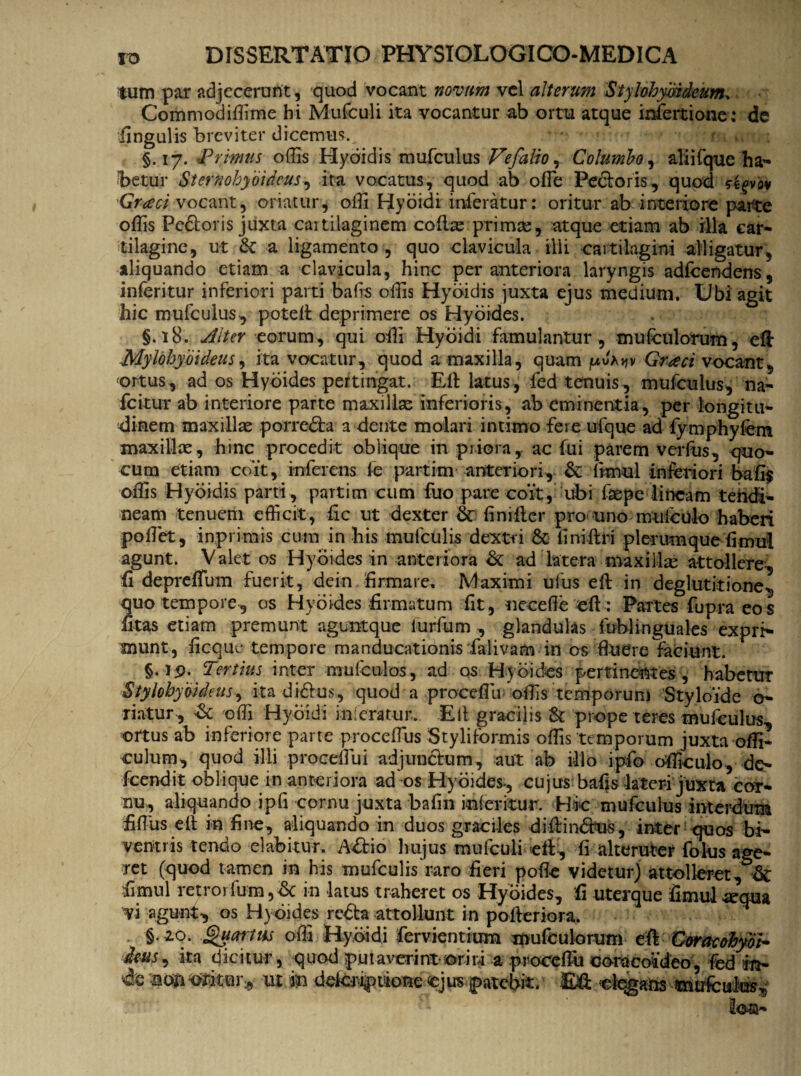 tum par adjecerunt, quod vocant novum vel alterum Stylohyoideum* Commodiffime hi Mufculi ita vocantur ab ortu atque infertione; dc fingulis breviter dicemus., * *' - < : f • • ;rm urth §.17. Primus odis Hybidis mufculus Vefalio, Columbo , ali i fque ha¬ betur Sternohyoideus, ita vocatus, quod ab ofie Pe&oris, quod f^vov Graci vocant, oriatur, olli Hyoidi inferatur: oritur ab interiore parte offis Pc&oris juxta cartilaginem coftx primre, atque etiam ab illa car¬ tilagine, ut 6c a ligamento , quo clavicula illi cartilagini alligatur, aliquando etiam a clavicula, hinc per anteriora laryngis adfcendens, inferitur inferiori parti bafts offis Hybidis juxta ejus medium. Ubi agit hic mufculus , poteft deprimere os Hybides. §.18. Alter eorum, qui offi Hyoidi famulantur, mu (culorum, eft Mylohyoideus, ita vocatur, quod a maxilla, quam /uJrw Graeci vocant, ortus, ad os Hybides pertingat. Eft latus, fed tenuis, mufculus, na- fcitur ab interiore parte maxillas inferioris, ab eminentia, per longitu¬ dinem maxillae porredta a dente molari intimo fere ufque adi fymphyfem maxillae, hinc procedit oblique in priora, ac fui parem verfus, quo- cum etiam coit, inferens le partim anteriori, & fimul inferiori bafi$ offis Hybidis parti , partim cum fuo pare coit, ubi faspe lineam tendi¬ neam tenuem efficit, fic ut dexter & finifter pro uno muleulo haberi pollet, in,primis cum in his mufculis dextri & finiftri plerumque limul agunt. Valet os Hyordes in anteriora <k ad latera maxilla attollere-, fi deprefium fuerit, de in firmare. Maximi ufus eft in deglutitione^ quo tempore, os Hybides firmatum fit , necefie eft: Partes fupra eo s fitas etiam premunt aguntque iurfum , glandulas fuhlinguales expri¬ munt, ficque tempore manducationis falivam in os fluere faciunt. §. ip. Tertius inter mufculos, ad os Hybides pertinentes, habetur Stylohyoideus, ita di&us, quod a proceffiu 'offis temporum 'Styloide o- riatur, & offi Hyoidi inferatur. Eli gracilis & prope teres mufculus,, ortus ab inferiore parte proceffius Styliformis offis temporum juxta offi- culum, quod illi proceffiui adjunctum, aut ab illo ipfo officulo, de- fcendit oblique in anteriora ad os Hybides, cujus bafis lateri juxta cor¬ nu, aliquando ipfi cornu juxta bafin infer it ur. Hic mufculus interdum fiffius eft in fine, aliquando in duos graciles diftin&us, inter quos bi¬ ventris tendo elabitur. A&io hujus mufculi eft, fi alteruter folus age¬ ret (quod tamen in his mufculis raro fieri pofie videtur) attolleret, & fimul retrorfum, <k in latus traheret os Hybides, fi uterque limul «qua vi agunt-, os Hybides rebta attollunt in pofteriora. §.20. Quartus offi Hyoidi fervientium mufculorum eft Goraeohyob hus, ira dicitur, quod putaverint oriri a proeeffii coracoideo, fed m- & m in deteriprione ejus patebit. Eft elqgaus mirfcufe^ ' Io®-