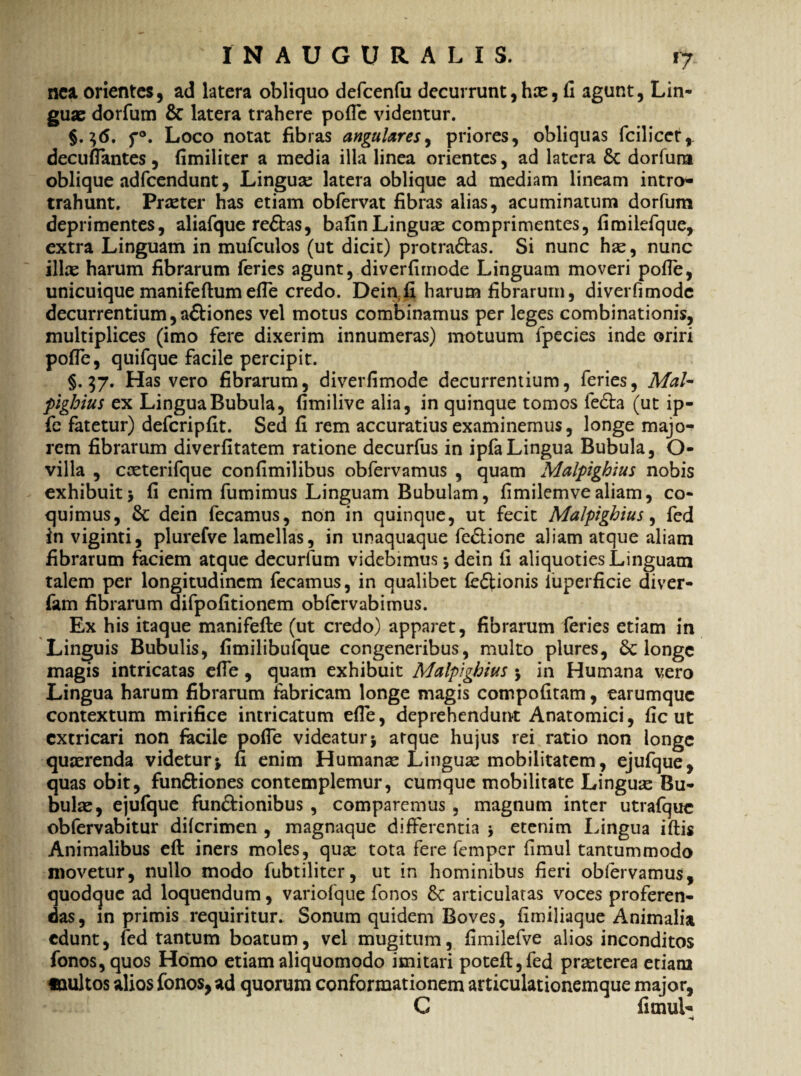 nca, orientes, ad latera obliquo defcenfu decurrunt, hae, fi agunt, Lin¬ guae dorfum & latera trahere pofle videntur. §. ^6. f°. Loco notat fibras angulares, priores, obliquas fcilicet, decuflantes, fimiliter a media illa linea orientes, ad latera Sc dorfum oblique adfcendunt, Linguae latera oblique ad mediam lineam intro- trahunt. Praeter has etiam obfervat fibras alias, acuminatum dorfum deprimentes, aliafque re&as, bafinLinguae comprimentes, fimilefque, extra Linguam in mufculos (ut dicit) protra&as. Si nunc hae, nunc illae harum fibrarum feries agunt, diverfimode Linguam moveri pofle, unicuique manifeftum efle credo. Dein;fi harum fibrarum, diverfimode decurrentium, a& ion es vel motus combinamus per leges combinationis, multiplices (imo fere dixerim innumeras) motuum fpecies inde oriri pofle, quifque facile percipit. §.57. Has vero fibrarum, diverfimode decurrentium, feries, Mal¬ pighius ex Lingua Bubula, fimilive alia, in quinque tomos fedta (ut ip- fe fatetur) defcripfit. Sed fi rem accuratius examinemus, longe majo¬ rem fibrarum diverfitatem ratione decurfus in ipfaLingua Bubula, O- villa , cceterifque confimilibus obfervamus , quam Malpighius nobis exhibuit5 fi enim fumimus Linguam Bubulam, fimilemvealiam, co¬ quimus, 6c dein fecamus, non in quinque, ut fecit Malpighius, fed in viginti, plurefve lamellas, in unaquaque fedione aliam atque aliam fibrarum faciem atque decurfum videbimus \ dein fi aliquoties Linguam talem per longitudinem fecamus, in qualibet feftionis luperficie diver- fam fibrarum difpofitionem obfcrvabimus. Ex his itaque manifefle (ut credo) apparet, fibrarum feries etiam in Linguis Bubulis, fimilibufque congeneribus, multo plures, & longe magis intricatas efle , quam exhibuit Malpighius $ in Humana vero Lingua harum fibrarum fabricam longe magis compofitam, earumque contextum mirifice intricatum efle, deprehendunt Anatomici, fic ut extricari non facile pofle videatur j atque hujus rei ratio non longe quaerenda videturfi enim Humanae Linguas mobilitatem, ejufque, quas obit, fun&iones contemplemur, cumque mobilitate Linguae Bu¬ bulae, ejufque funftionibus , comparemus, magnum inter utrafquc obfervabitur diferimen , magnaque differentia $ etenim Lingua iftis Animalibus efl: iners moles, quae tota fere femper fimul tantummodo movetur, nullo modo fubtiliter, ut in hominibus fieri obfervamus, quodque ad loquendum, variofque fonos articulatas voces proferen¬ das, in primis requiritur. Sonum quidem Boves, fimiliaque Animalia edunt, fed tantum boatum, vel mugitum, fimilefve alios inconditos fonos, quos Homo etiam aliquomodo imitari poteft,fed praeterea etiam «nultos alios fonos, ad quorum conformationem articulationemque major, C fimui-