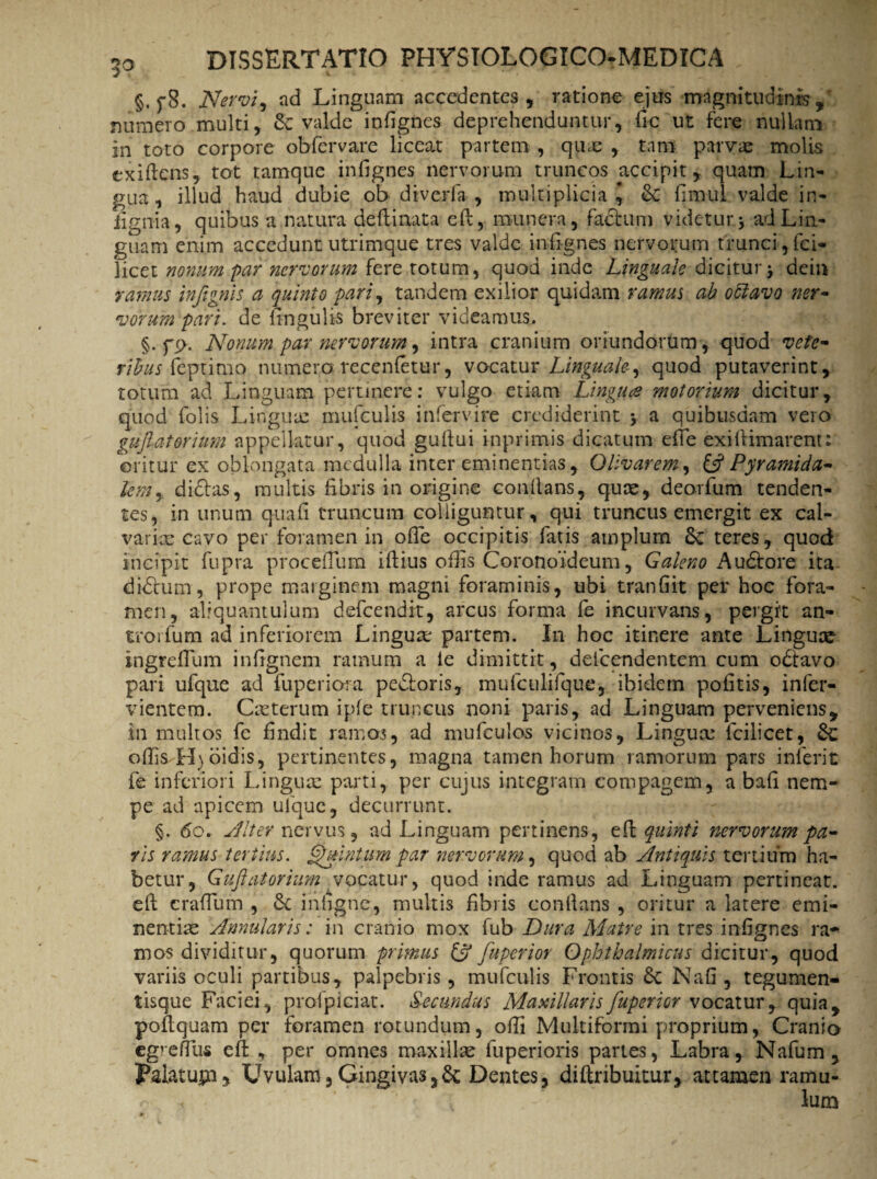 §. f8. Nervi, ad Linguam accedentes, ratione ejus magnitudinis, numero multi, &: valde infignes deprehenduntur, ile ut fere nullam in toto corpore obfervare liceat partem , qux , tam parvae molis exidens, tot tamque infignes nervorum truncos accipit, quam Lin¬ gua , illud haud dubie ob diverfa , multiplicia ^ & fimul valde in¬ ii gni a , quibus a natura de 11 i nat a ed, munera, factum videtur 3 ad Lin¬ guam enim accedunt utrimque tres valde infignes nervorum trunci, ici- licet nonum par nervorum fere totum, quod inde Linguale dicitur y dein ramus infignis a quinto pari, tandem exilior quidam ramus ab offavo ner¬ vorum pari. de lingulis breviter videamus, §. fcy. Nonum par nervorum, intra cranium oriundorum, quod vete¬ ribus feptimo numero recenletur, vocatur Linguale, quod putaverint, totum ad Linguam pertinere: vulgo etiam Lingua motorium dicitur, quod Colis Lingua: mufculis intervire crediderint $ a quibusdam vero gujlatorium appellatur, quod gultui imprimis dicatum ede exiftimarent: oritur ex oblongata medulla inter eminentias, Olivarem, & Pyramida¬ lem + didlas, multis fibris in origine conllans, qute, deorfum tenden¬ tes, in unum q-uafi truncum colliguntur, qui truncus emergit ex cal¬ varia: cavo per foramen in ode occipitis fatis amplum &'teres, quod incipit fupra pfocellum iftius ollis Coronoideum, Galeno Audtore ita didtum, prope marginem magni foraminis, ubi tranfiit per hoc fora¬ men, aliquantulum defeendit, arcus forma fe incurvans, pergit an- trorfum ad inferiorem Lingua: partem. In hoc itinere ante Linguae ingreflum infignem ramum a te dimittit, deicendentem cum odtavo pari ufque ad fuperiora pe&oris, mufculifque, ibidem pofitis, infer- vientem. Ceterum iple truncus noni paris, ad Linguam perveniens, in multos fe findit ramos, ad mufculos vicinos. Lingua: fcilicet, & odis H)oidis, pertinentes, magna tamen horum ramorum pars inierit fe inferiori Lingua: parti, per cujus integram compagem, a bafi nem¬ pe ad apicem ulque, decurrunt. §. do. Alter nervus, ad Linguam pertinens, ed quinti nervorum pa¬ ris ramus tertius. Quintum par nervorum, quod ab Antiquis tertium ha¬ betur, Gujlatorium vocatur, quod inde ramus ad Linguam pertineat, ed crafium , inligne, multis fibris conllans , oritur a latere emi¬ nentia: Annularis: in cranio mox fub Dura Matre in tres infignes ra¬ mos dividitur, quorum primus & fuperior Ophthalmicus dicitur, quod variis oculi partibus, palpebris , mufculis Frontis £c Nafi , tegumen¬ tisque Faciei, profpiciat. Secundus Maxillaris fuperior vocatur, quia, podquam per foramen rotundum, odi Multiformi proprium, Cranio egrefliis ed , per omnes maxilla: fuperioris panes, Labra, Nafum , Palatujn* Uvulam,Gingivas,& Dentes, diftribuitur, attamen ramu-
