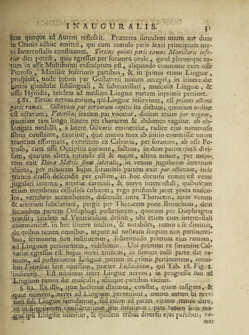 INAUGUR AU S: |t Ium quoque ad Aurem refle&it. Praeterea furculum unum aut duos in Cranio adhuc emittit, qui cum ramulo paris Texti principium ner¬ vi Intercoflalis conflituunt. Tertius quinti faris ramus Maxillaris infe¬ rior dici potefl , quia egreffus per foramen ovale , quod plerumque to¬ tum in ode Multiformi exfculptum eft, aliquando commune cum olle Petfofo j 'Maxilla? inferioris partibus , Sc in primis etiam Linguas, profpicit, unde totum par Gu(latorii nomen accepit 5 in itinere dat fcimos glandula: fublinguali , Sc fubmaxillari , mufculis Linguas, & offis Hyoidis, tandem ad mediam Linguae partem inprimis pertinet. §.5i. Tertius nervus eorum, qui-Linguas inferviunt, etl primus ottavi paris ramus. Offiayum par nervorum capitis ita didlum, quoniam ordine tft o&ayum* Veteribus fex tum par vocatur, dicitur etiam par vagum 5 quoniam tam longo itinere per thoracem 6c abdomen vagatur, ab ob¬ longata medulla , a latere Olivaris eminentias, radice ejus numero (Is fibris conflante, exoritur, quas mutuo mox ab initio committas unum truncum efformant, exeuntem ex Calvaria, per foramen, ab otte Pe- trofo, cum otte Occipitis coeunte, fadtum, in duas partes quafi divi- fum, quarum altera rotunda eft Sc major, altera minor, per majo¬ rem exit Duree Matris finus lateralis, in venam jugularem internam abiens, per minorem hujus foraminis partem exit par odtavum^ inde trunco craftb defeendit per collum, in hoc decurfu comes eft vena: jugulari internee , arterias carotidi, & nervo intereoftali, quibufcum etiam membrana cellulofa cohasret 5 ergo profunde jacet juxta mufeu- los, vertebres accumbentes, defeendit intra Thoracem, inter venam & arteriam fubclaviam, pergit per t horacem pone Bronchum, dein fpc.undum partem Oefcphagi poflcriorem , quocum per Diaphragma tranGt, tandem ad Ventriculum delinit , ubi etiam cum intercoftali communicat, in hoc itinere multos, & notabiles, ramos a fe dimittit, de.quibus tamen omnibus, utpote ad noflrum fcopum non pertinenti¬ bus, fermonem non inflituemus, folummodo primum ejus ramum, ad Linguam pertinentem, videbimus. Ubi primum ex foramine Cal¬ varias egreffus eft hujus nervi truncus, in fumma colli parte dat ra¬ mum, ad pofteriorem Linguas partem in primis pertinentem, omni¬ bus Veteribus fere omisTum, prmter Euftachiam, qui Tab. tS. Fig. 2,, indicavit. Eft minimus inter Linguas nervos j in progreflii. luo ad Linguam ramos dat mufculis, .aliisque partibus vicinis. §.61. Ex iliis, quas ha&enus diximus, conflat, quam infignes, Sc quot humero, .nervi ad Linguam perveniant, omnes autem hi nervi non fpli Linguae famulantur, fed etiam ad partes vicinas ramos dant, ut in 'fingii.lt)r.um conii <ietafio ne jam innuimus: pars .nWipTi Einguae inlenturquidem tribus diverfis ej amen latis: rna- is partibus) ra~