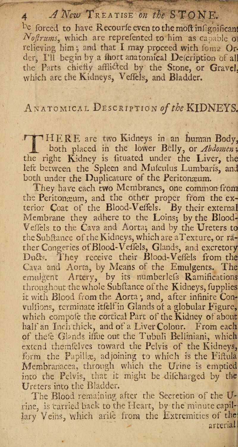 - mini-*- '*tipr A' • ■-. 4 A New Trea tise on the S TO N E. he forced to have Recourfeeven to themoftinf gnilicanf NoftrumSj which are reprefented to him as capable ol relieving him ; and that I may proceed with fomg Or¬ der, I’ll begin by a fhort anatomical Defcription of a]] the Parts chiefly afflicted by the Stone, or Gravel, which are the Kidneys, Veffels, and Bladder. Anatomical Description of the KIDNEYS. ripHERE are two Kidneys in an human Body^ 1 both placed in the lower Belly, or Abdomen; the right Kidney is fituated tinder the Liver, the left between the Spleen and Mufculus Lumbaris, and both under the Duplicature of the Peritonaeum. They have each two Membranes, one common from the Peritonaeum, and the other proper from the ex¬ terior Coat of the Blood-Veffels. By their external Membrane they adhere to the Loins; by the Blood* Veflels to the Cava and Aorta; and by the Ureters to the Subftance of the Kidneys, which are aTexture, or ra¬ ther Congeries of Blood-Veflels, Glands, and excretory Dufts. They receive their Blood-Velfels from the •/ Cava and Aorta, by Means of the Emulgents. The emulgent Artery, by its numberlefs Ramifications throughout the whole Subftance of the Kidneys, fupplies it with Blood from the Aorta and, after infinite Con¬ vulsions, terminate itfelf in Glands of a globular Figure, which compofe the cortical Part of the Kidney of about half an Inch thick, and of a Liver Colour. From each of thefe Gbnds ilfue out the Tubuli Beliiniani, which extend themfelves toward the Pelvis of the Kidneys, form the Papillre, adjoining to which is the Fiftula Membranacea, through which the Urine is emptied into the Pelvis, that it might be diicharged by tire Ureters into the Bladder. The Blood remaining after the Secretion of the U- rine, is tarried back to the Heart, by the minute capil¬ lary Veins, which ariie from the Extremities of the: arterial!