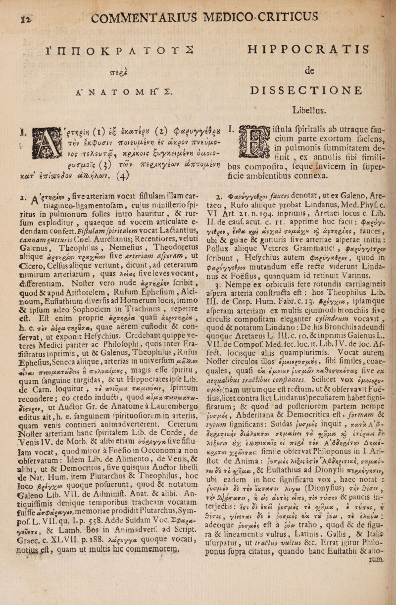 rnnoKPATors 7rteJ A’ K A T O M iT 2. HIPPOCRATIS de DISSECTIONE Libellus. (i) g| (2) ' T»Sv gJC^Wf/V 'ffOlZV^&VV} kg O&KgOV 7TveutA0- voq T£AgUT<£, X£/KQig %uyxeifAivyi QUQlQ- (ivffjioTq (5) w xtywyicw d^ro^kw] k&t kgrl&ioov dfikyhoov. (4) iftula fpiritalis ab utraque fau- cinm parte exortum faciens, in pulmonis fu mini tat em de¬ finit 7 ex annulis iibi limili- bus compofita, feqne invicem in fuper- ficie ambientibus connexa. 1, a ^TvteJmv, five arteriam vocat Mulam illam car- ™ tiiagineo-ligamentofam, cujus minifteriofpi- litus in pulmonum folles intro hauritur, & rur- fum exploditur , quaeque ad vocem articulate e- dendam confert.Fiflulam fpmtalem vocat Ladtantius, cannam gutturis Coei. Aurelianus; Recentiores, veluti Gaenus, Theophilus , Nemefius , Theodoretus aliique u five arteriam afperam, ut Cicero,Celfusaliique vertunt, dicunt,ad ceterarum nimirum arteriarum, quas a««s five leves vocant, differentiam. Noller vero nude ugTtigJyv fcribit , quod & apud Ariftotelem , Rufum Ephdium, Alci¬ noum, Euftathmm diverfis ad Homerum locis, immo & lplum adeo Sophoclem in Trachiniis , reperirc eft. Eft enim proprie i^rv&iec quafi asgdTz&tv , h. e. tov TvgSra, quae aerem cuftodit & con- fervat, ut exponit Hefychius. Credebant quippe ve¬ teres Medici‘pariter ac Philofophi, quos inter Era- tjfiftratusinprimis, ut & Galenus, Theophilus, Rufus Hphefius,Seneca aliique, arterias in univerfum pdMw Trv&vp&MTw^&s vi ircXvcttpsfits, magis e fle fpiritu , quam fanguine turgidas, &ut Hippocrates ipfe Lib. de Carn. loquitur , ?» nnvpu 7tt,pisv<*vy fpintum lecondere; eo credo indudb , quod e&i/uxTrv&vptc&Tet- &f.S£0Vj ut Audior Gr. de Anatomea Laurembergo editus ait,h. e. fanguinem ipirituofioremin arteriis, quam venis contineri animadverterent. Ceterum IMofter arteriam hanc fpiritalcm Lib. de Corde, de .Venis IV. de Morb. 8c alibi etiam <rve/yyecfiivefiftu- lam vocat, quod miror a Foefioin Oeconomia non obfervatum : Idem Lib. de Alimento, de Venis, & ahbi, ut & Democritus, Ii ve quisquis Audior libelli de Nat. Hum. item Plutarchus & Theophilus, hoc loco /3g9y%ev quoque pofuerunt, quod & notatum Galeno Lib. VII. de Admimft. Anat, & alibi. An- tiquiflimis denique temporibus tracheam vocatam fui fle memoriae prodidit Plutarchus,Sym- pof.L. Vll.qu. I.p. 558. Adde Suidam Voc. yivvro, & Lamb. Bos in Animadverf. ad Script. Graec. c. XLV1I. p. 188. Aa^yy* quoque vocari, notiua.jpft, quam ut multis hic commemorem, 2. $ospvyysfgpt fauces denotat, ut ex Galeno, Are- taeo , Rufo alnlque probat Lmdanus,Med.Phyf. c. VI Art. 21. n. 194. mprimis, Aretaei locus c. Lib. II. de cauf. acut. c. 11. apprime huc facit: <pu%v y- ysfigtv y tv&ec ryP) dp%cti <?cy,c*.y* apTygJqg, fauces, ubi & gulae & gutturis live arteriae aiperae initia: Pollux alitque Veteres Grammatici , (pu^fyy*rg«r fcribunt , Hefychius autem epxgvyxfyo», quod m <pct£vyys6pov mutandum efle redte viderunt Linda- nus 6Z Foefius, quanquam id retinuit Varinus. 3. Nempe ex orbiculis fere rotundis cartilagineis afpera arteria conftrudla eft : hos Theophilus Lib. III. de Corp. Hum. Fabr.c. 13. /tfoy%i*, ipiamque afperam arteriam ex multis ejusmodi bronchiis live circulis compofitam eleganter cylindrum vocavit , quod & notatum Lindano: De ,his Bronchiis adeundi quoque AretaeusL. ILl.c. lo.&inprimisGalenusL. VH.de Compof.Med. lec.loc. ir. Lib. IV. de joc. Af- fedt. locisque aliis quampiurimis. Vocat autem Nofler circulos illos iptoit^vo-pc^g, fibi fimiles, coaer quales, quali dx. optoiwv pvrptaiv live ex aequalibus trattibus conflantes. Scilicet vox c/uotogv- (rf/dg[nam utrumque efl retftum, ut & obfervavit Fue- lius,licet contra flet Lindanus)peculiarem habet ligni- ficatum; & quod ad pofleriorem partem nempe fvrptog, Abderitana & Democritica eft > formam 5c typum fignificans: Suidas pvtrpog inquit , »#7-^a’/3- dtlgJTijcjjv ff-JjjWSiive* 7o %r,gtu tCj ere^uig Cs t£X> ixwnxxts °t TTiefl TOV a’&V/UO- x&tov xgavrai: fimile ohiervatPhiloponus in 1 Ari- ftot de Anima : o-y/uxi- v« h 7o %r,pe&, & Eultathius ad Dionylii Ks&nyww, ubi eadem in hoc fignificatu vox , haec notat : fvr/uov rr]y tx,70triv Xtyei (DionyfiuS) r/h Secnv 7 7W S&ld,<retru> , y) ds cii)T0$ ctTts, 70V rvirov & pauClS inr terjedlis: sV< £jc« t# , » tJttos, w Sertt , ytvsrxt e pvr/uog rQ , ri iXy.Cu l adeoque fur/uos eft a pvo> traho , quod & de figu¬ ra <k lineamentis vultus, Latinis, Gallis, Italis ufurpatur, ut traHus vultus &c. Errat igitur Philo- pomis fupra citatus, quando hanc Euftathii &a io- rum.