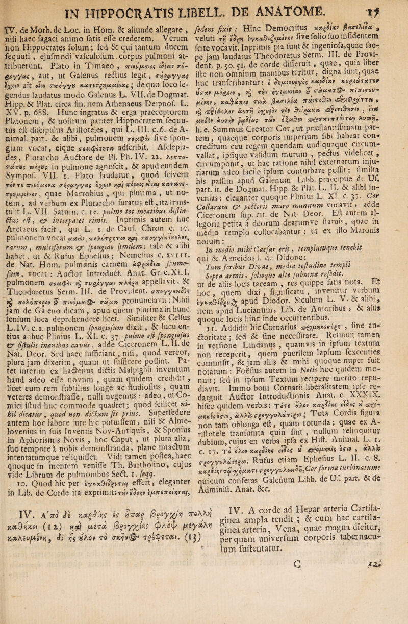 TV. deMorb.de Loc. in Hom. & aliunde allegare , nifi haec fagaci animo fatis efle crederem. Verum non Hippocrates folum; fed & qui tantum ducem fequuti, ejufmodi vafculoium, corpus pulmoni at¬ tribuerunt. Plato in Timaeo , lenvp&ovos ib'Uv crv- esyyxs, aut, ut Galenus redius legit, ait ciov meyy» xxTir^ufxhug • dequo loco le¬ gendus laudatus modo Galenus L. VII. de Dogmat. Hipp. & Piat, circa fin. item Athenaeus Deipnof. L. XV. p. 688. Hunc ingratus & erga praeceptorem Platonem , & noftrum pariter Hippocratem fequu- tus eft difcipulus Ariftoteies, qui L. III. c. 6. de A- nimal. part. & alibi, pulmonem o-opapbv five fpon- giam vocat, eique <rou<pbryTX adfcribit. Afclepia- des, Plutarcho Audore de Pi. Ph. IV. 22. Xsxtg- Turyg in pulmone agnofcit, & apud eundem Sympof. VII. 1. Plato laudatur , quod fciverit T«v t£ xviVjitoVoi <rv\()ot.yyctg eiveq XX7XTS~ , quae Macrobius , qui plurima , ut no¬ tum, ad verbum ex Plutarcho furatus eft , ita trans¬ tulit L. VII Satum, c. 15. pulmo tot meatibus diflin- Hus eft, -c? interpatet rimis. Inprimis autem huc Aretaeus facit , qm L 1 de Cauf Chron c. 10. pulmonem vocat fxxvhh 7tcXvt^vtov t&j rxoyyly ixzXm, rarum , multiforum & (pongiae jimilem: tale & cibi habet . ut & Rutus Epiaelius; Nemehus c. xviix, de Nat. Hom. pulmonis carnem ittpjgah* fpumo- fam, vocat : Audior Introduci. Anat. Gr. c. XLI. pulmonem ropccpbv tcj (rvgfyywv xxq%'A appellavit» Sc Theodoretus Serm. III. de Provident. <rxoyyac-i^h 7coXv7T6^ov % TTvsy^oK^' Gto[Acc pronunciavit: Nihil jam de Ga eno dicam , apud quem piurimain hunc fenfum loca deprehendere licet. Similiter & Celfus L.IV.c. 1. pulmonem fipongiofium dixit , & luculen¬ tius adhuc Plinius L. XI. c. 37 pulmo eft fpongtofus t? fifiulis inanibus cavus, adde Ciceronem L. II. de Nat. Deor. Sed haec fufficiant, nili, quod vereor, plura jam dixerim, quam ut fufficere poffint. Pa¬ tet interim ex hadenus didis Malpighii inventum haud adeo efle novum , quam quidem credidit , licet eum rem fabrilius longe ac liudiofius, quam veteres demonftrafte, nulli negemus; adeo, ut Co¬ mici iftud huc commode quadret; quod fcilicet ni¬ hil dicatur, quod non ditium jit prius. Superfedere autem hoc labore jure h c potuiftem « nili & Alme- lovenius in fuis Inventis Nov-Antiquis, & Sponius in Aphorismis Novis , hoc Caput , ut plura aiia, fuo tempore a nobis demonftranda» plane intadum intentatumque reliquiffet. Vidi tamen poftea,haec quoque in mentem veniffe Th. Bartholino, cujus vide Librum de pulmonibus Sed. t. feqq. 10. Quod hic per effert, eleganter in Lib. de Corde ita exprimit; W» efyw ifurmi'vT*/t fedem fixit: Hinc Democritus fiutrtxfix 3 veluti 7vi s$gij 'tyK<x.Sn>do[Aivviv five folio fuo infldentem fcite vocavit. Inprimis pia funt&i ingeniofa,quae fae- pe jam laudatus Theodoretus Serm. III. de Provi¬ dent. p. 50. 51. de corde difleruit , quae, quia liber ille non omnium manibus teritur, digna funt,quae huc tranfcribantur: b hpiovoycg xxpoixv Y,vg/.a>7urw fstrotv [aqq/igv 5 *ri$y sjyiptoyixv fi (roafuwTdg/-* xzxi^zv- fim > p rivet ftxrtXU iretm&ev , ^ afgtj&oXov kvT\ji ifyvpbv rev 3’^gpxx , ivus {MfjfriV CtVTliv poeticus 76>v flg£$T7FtirTQl>TaV Xvzsy. h.e. Summus Creator Cor ,ut prseftannfftmam par¬ tem , quaeque corporis imperium fibi habeat con^ creditum ceu regem quendam und qivique circum¬ vallat, iplique validum murum , pedus videlicet, circumponit, ut hac ratione nihil externarum inju¬ riarum adeo facile ipfum conturbare poflit; Umida his paffim apud Galenum Libb. praecipue d< Uf. part. it. de Dogmat. H'pp. & Piat. L. II. & alibi in¬ venias: eleganter quoque Plinius L. XI. c 37. Cor Coflarum & pedloris muro munitum vocavit * adde Ciceronem fup. cir. de Nat* Deor. Eh aut- m al¬ legoria petita a deorum dearum ve ltaruis quae iri medio templo collocabantur : ut ex illo Maronis notum: In medio mihi Caefar erit, templumque tenebit qui & Aeneidos I. de Didone: Tum foribus Divae, media tefiudine templi Septa armis i folioque alte fubnixa refedit. ut de aliis locis taceam , res quippe latis nota. Et hoc , quem dixi , fignificatu , invenitur verbum lyuetMtvoft apud Diodor. Siculum L. V. & alibi , item apud Lucianum, Lib. de Amoribus > & aliis quoque locis hinc inde occurrentibus., 11. Addidit hic Cornarius 5 ^ine au* doritate 1 fed fine neceffitate. Retinuit tamen in verlione Lindanus , quamvis in ipfum textum non receperit, quem puerilem lapfum fexcenties commifrt, & jam aliis & mihi quoque nuper fuit notatum : Foelius autem in Notis hoc quidem mo¬ nuit; fed in ipfum Textum recipere merito repu¬ diavit. Immo boni Cornarii liberalitatem ipfe re¬ darguit Audor Introdudionis Anat. c XXXIX. hifce quidem verbis: t ore oMv ku$ik «^5 » «0©- > hxxu rgoyyvXcorzgcv i Tota Cordis figUii non tam oblonga eft, quam rotunda; quae ex A- riftotele tranfumta quin fint , nullum relinquitur dubium, cujus en verba ipfa ex Hift. Animal. L. 1. C. 17« T* 0X0V Uotgfrlns 6i$0$ it j CihXoi rsoyyvXuTi^. Rufus etiam Ephebus L. II. c. 8. ««(}/,jv 7? r(foyyvXcet$v),Corforma turbinatum: quicum conferas Galenum Libb. deUf. part. 6tde Adminift. Anat. Scc. IV. A7T0 <^£ ]q 1$ Y}7T0t(> J 7TflAA>J xaB-ritcei (ll) i(ejk [MTM pzyMM kxAzv{Aivy}9 cJV ijf »Aov to rwjv®4 Tgstperai. (ij) IV. A corde ad Hepar arteria Cartila¬ ginea ampla tendit \ Sc cum hac cartila¬ ginea arteria, Vena, quae magna dicitur, perquam univerfum corporis tabernacu¬ lum fuftentatur.