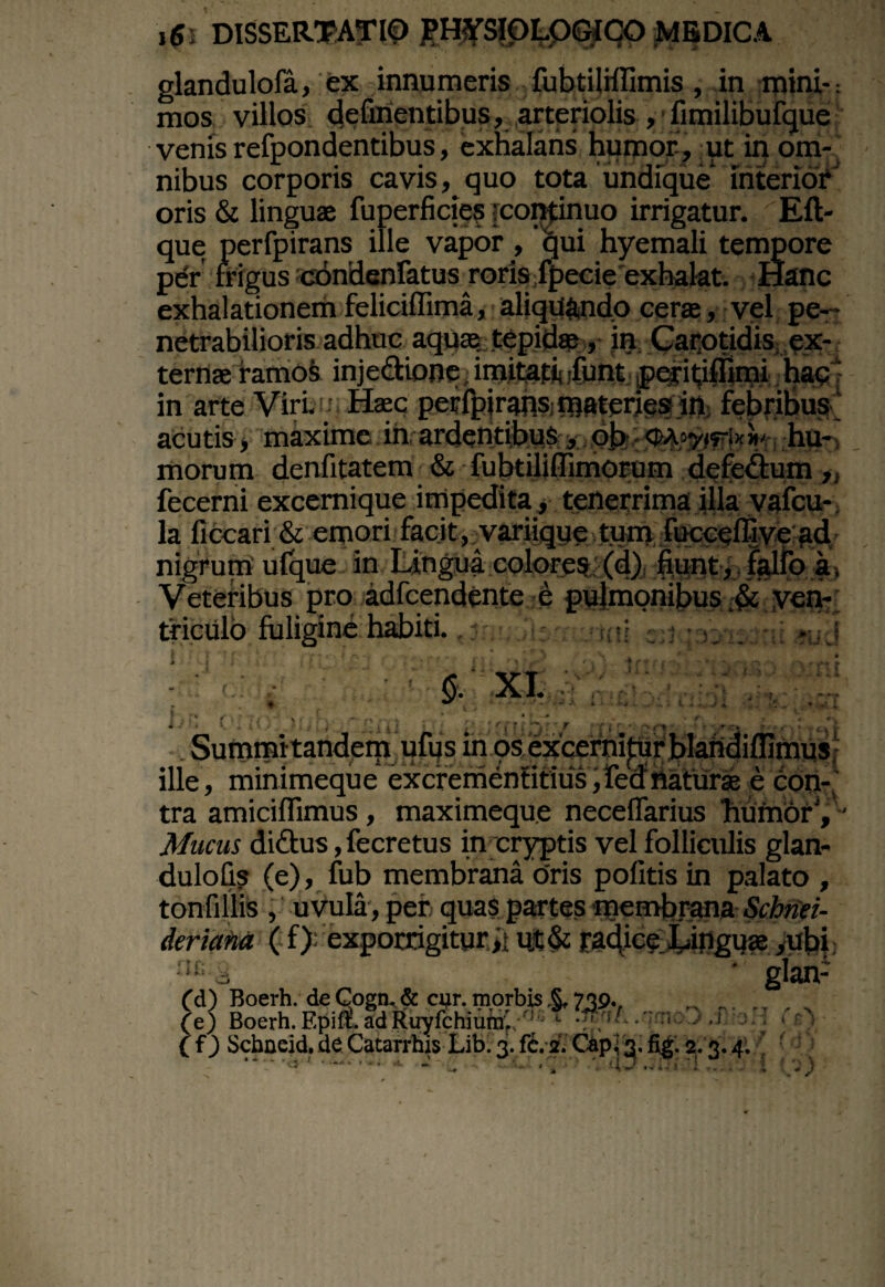 glandulofa, ex innumeris fubtilrffimis, in mini-: mos villos Refmentibus, arteriolis , fimilibufque venis refpondentibus, exhalans humor-, ut in om¬ nibus corporis cavis, quo tota undique interior oris & linguae fuperficies [continuo irrigatur. Eft- que perfpirans ille vapor , qui hyemali tempore per frigus cbndenfatus roris fpecie exhalat. Hanc exhalationem feliciflima, aliquando cerae, vel pe¬ netrabilioris adhuc aquas. tepidae, in Carotidis ex¬ ternae ramos inje&ione; imitati jfunt peritilfimi hac in arte Viri. Haec peflbjrahsnjftteries in febribus acutis, maxime in ardentibus, ob GA-yiri*b hu¬ morum denfitatem & fubtiliffimorum defeftum „ fecerni excemique impedita, tenerrima illa vafcu- la liccari & emori facit, variique tum fuccelfi ve ad nigrum ufque in Lingua colores (d) fiunt, falfo a, Veteribus pro adfcendente e pulmonibus .& ven¬ triculo fuligine habiti. n; : ; i: .; ;i *ud $. XI. ? * * . Summi tandem ufus in os excernitur blandilfimus ille, minimeque excremenBtius, TeR ficturae e con-; tra amiciffimus, maximeque neceffarius 'humorV Mucus dibtus, fecretus in cryptis vel folliculis glan- dulofis (e), fub membrana oris politis in palato , tonfillis , uvula, per quas partes membrana Schnei- deriana ( f) exporrigitur >> ujt& raRice Linguae ,ubi •,s‘ 8 ’ glan- fd) Boerh. de Cogn. & ojr. morbis 739., .. . (e) Boerh. F.pift ad Ruyfchiumi/1 ^ ; ' i . .1 j , . ' f f) Scbneid. de Catarrhis Lib. 3. fc. 2. Capi s, fig. 2. 3.4. •' * .. ■ - .. ■ •. ' >w. .)