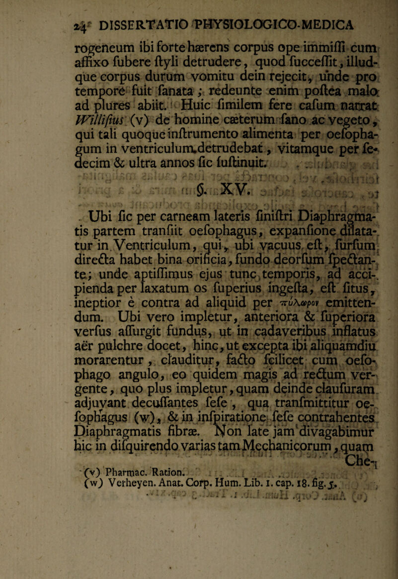 rogeneum ibi forte haerens corpus ope immiffi cum affixo fubere ftyli detrudere, quod fucceffit, illud- que corpus durum vomitu dein rejecit, unde pro tempore fuit fanata ; redeunte enim poftea malo ad plures abiit. Huic fimilem fere cafum narrat Williftus (v) de homine caeterum fano ac vegeto, qui tali quoque inftrumento alimenta per oefopha- gum in ventriculunxdetrudebat, vitamque per fe- decim & ultra annos fic fuftinuit. - ' ' * * _ ^ 1 i 1 *) i 'i.i ' } f* i .1 j i »• 1 f f / *' l ‘1 ■' i• 1' T . i 5- xv. I k/ jr t* % # 'V' i v < ^ i » Jt ' ^ v | ‘ I •’* J * \ I ? j| • ’.v ** ^ ■* f , jk . Ubi fic per carneam lateris finiftri Diaphragma¬ tis partem tranfiit oefophagus, expanfione dilata¬ tur in Ventriculum, qui, ubi vacuus eft, lurfum dire&a habet bina orificia, fundo deorfum fpedan- te.; unde aptiffimus ejus tunc temporis, ad acci-, pienda per laxatum os fuperius ingefta, eft fitus, ineptior e contra ad aliquid per -ruAapo» emitten¬ dum. Ubi vero impletur, anteriora & fuperiora verfus affurgit fundqs, ut in cadaveribus inflatus aer pulchre docet, hinc, ut excepta ibi aliquamdiu morarentur, clauditur, fado fcilicet cum oefo- phago angulo, eo quidem magis ad redum ver¬ gente, quo plus impletur, quam deinde claufuram adjuvant decuffantes fefe , qua tranfmittitur oe¬ fophagus (w), & in infpiratione fefe contrahentes Diaphragmatis fibras. ISTon late jam divagabimur hic in dilquirendo varias tam Mechanicorum, quam Che-| (v) Pharmac. Ration, ... (w) Verheyen. Anat. Cofp. Hum. Lib. i. cap. 18. fig. £. ■' --‘-i. *X .. -:..U «;• ‘v’' 4 I