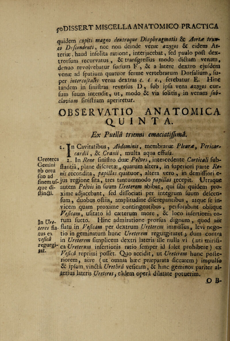 quidem capiti magno dextroque Diaphragmatis ,& Aorta trun- eo Defendenti, nec non deinde venae azygos U eidem Ar¬ teriae, haud infolita ratione, interjacebat, fed paulo poft dex- trorfum recurvatus, 6c tranfgrefius modo didam venam 9 drnuo revolvebatur furfum F , & a latere dextro ejufdem vemc ad fpatium quatuor ferme vertebrarum Dorfalium* fu- .per interco/tales venas dextras c. c. c.y ferebatur E. Hinc tandem in finidras reverfus D, fub ip(a vena azygos cur- fum fu udi intendit, ut, modo & via folitis, in venam fub* claviam finidram aperiretur. OBSERVATIO ANATOMICA QUINTA. Ex PueM trienni emaciatiffmi. \ •i. Tn Cavitatibus, Abdominis, membranae Pleura\ Per icar* £ c ardi i, 6c Cranii, multa aqua effufa. Ureteres 2. In Rene fi ni liro duae Pelves, intercedente Corticali fub- Gemini flantia, plane di (cretae* quarum altera, in (operiori parte Ra* fuo°adU recondita, papillas quatuor, altera vero, in demifliorie- finemuf-jus regione fita, tres tantummodo papillas tecepit. 'Utraque ,que di- autem Pelvis in fuum Ureterem abibat,, qui libi quidem pro- $in#i. xime adjacebant, fed difiociati per integrum fuum defeen- fum, duobus odiis, amplitudine diferepantibus , atque fe it> vicem quam proxime contingentibus, perforabant oblique Veficam, ufitato id carterum more , Sc loco infertionis eo- In Ure- rum faet0* Hinc admiratione prorfus dignum , quod aer teres da- flatu in Feficam per dextrum lJretercjn immifius, levi nego- tus ex tio in geminatum hunc Ureterem regurgitaret y dum contra vefich _ in Ureterem fimplicem dextri lateris ille nulla vi (.uti mirifi- regurgi- ca Ureterum infertionis ratio femper id (olet prohibere) ex *at' Veficd reprimi poflet, Quo accidit, ut Ureterem hunc pode- riorem , aere ( ut omnia haec praeparata ficcarem) impulfo & jpfam vin&a Urethra veficam, hinc geminos pariter al¬ terius lateris Ureteres, eadem opera dilatare potuerim. O B-