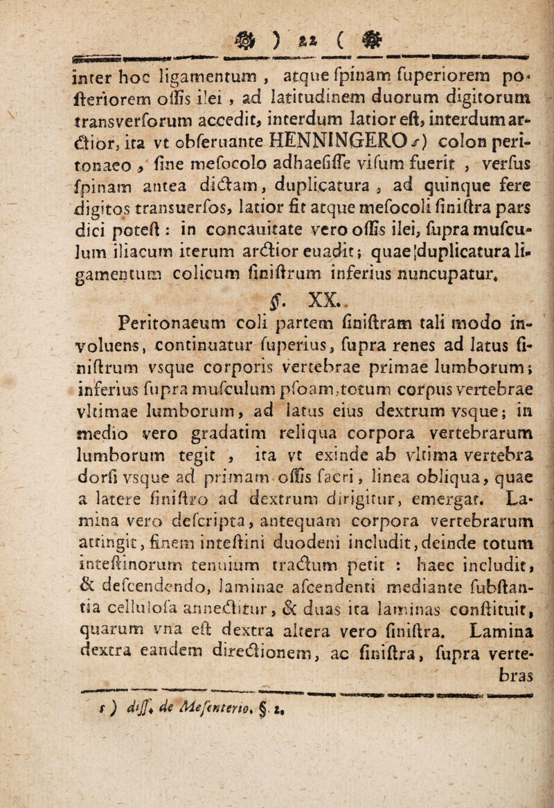 inter hoc ligamentum , atque fpinam fuperiorem po* fteriorem ollis ilei , ad latitudinem duorum digitorum transverforum accedit, interdum latior eft, interdumar¬ ctior, ita vt obferuante HENNINGERO/) colon peri¬ tonaeo , fine mefoeolo adhaeGfle vifum fuerit , verfus fpinam antea didtam, duplicatura ad quinque fere digitos transuerfos, latior fit atque mefocoli finiftra pars dici poteft: in concauitate vero offis ilei, fupra mufcu* lum iliacum iterum ardlior euadit; quae [duplicatura li¬ gamentum colicum finiftrum inferius nuncupatur* $. XX.. Peritonaeum coli partem finiftram tali modo in- yoluens, continuatur fuperius, fupra renes ad latus fi¬ niftrum vsque corporis vertebrae primae lumborum ; inferius fupra rrmfcultmi pfoam,totum corpus vertebrae vltimae lumborum, ad fatus eius dextrum vsque; in medio vero gradatim reliqua corpora vertebrarum lumborum tegit , ita vt exinde ab vlcima vertebra doril vsque ad primam offis facti, linea obliqua, quae a latere finiftro ad dextrum dirigitur, emergat. La¬ mina vero defcripta, antequam corpora vertebrarum acringit, finem inteftini duodeni includit, deinde totum inteftinorum tenuium tradlum petit : haec includit, & defcendendo, laminae afcendenti mediante fubftan- tia celluloia annectitur, & duas ita laminas conftituit, quarum vna eft dextra altera vero finiftra. Lamina dextra eandem directionem, ac finiftra, fupra verte¬ bras ^.uo.irnP^ W*0- --^_~Tim (u U|_