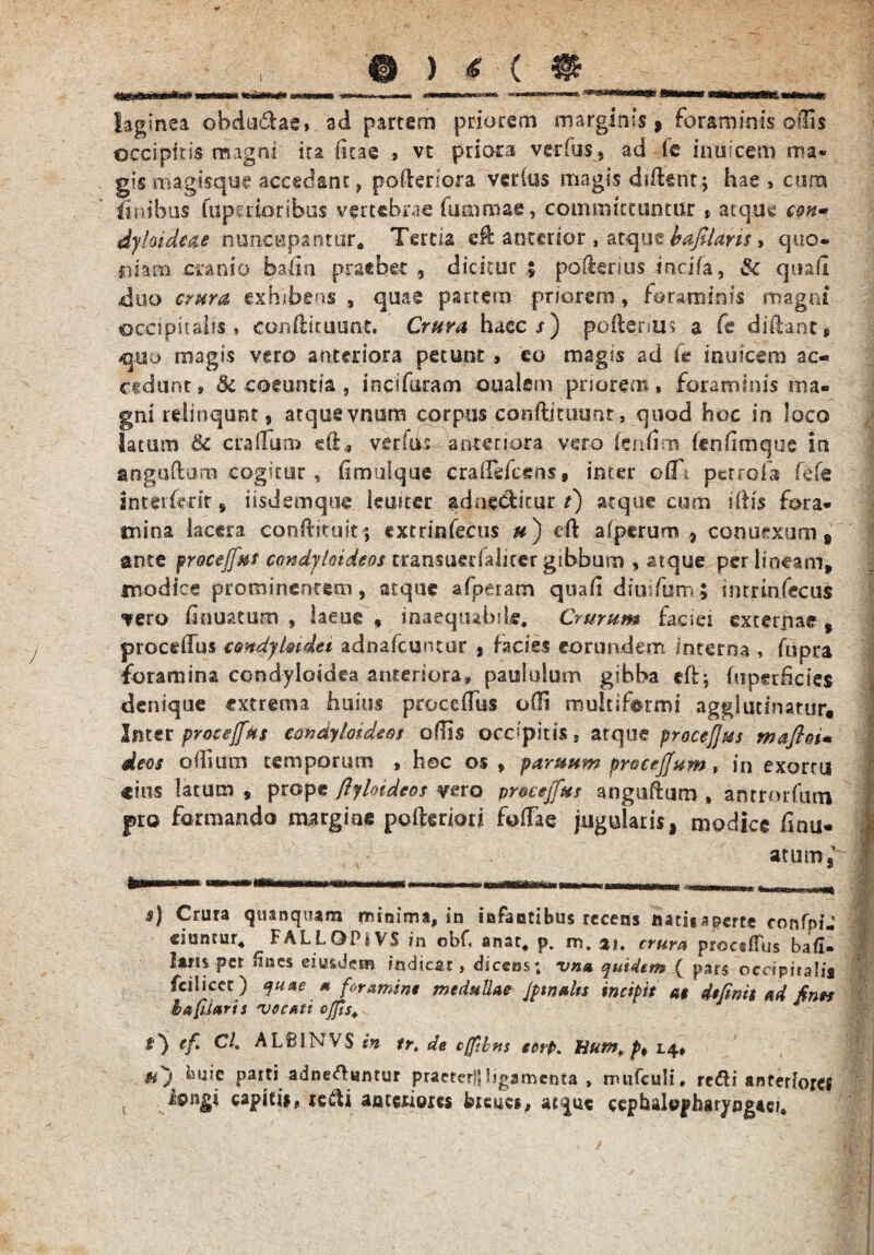 faginea obdu&ae» ad partem priorem marginis, foraminis-odis occipitis magni ita litae , vt priora verius, ad le inuicem ma« gis roagisque accedant, poderiora verius magis dident; hae , cum finibus fupcrioribus vertebrae fu minae, committuntur , atque con» dyloide&e nuncupantur* Tertia ed anterior , atque bafiUris, quo¬ niam cranio baiin praebet , dicitur | paderitis incifa, & quali «duo crura exhibens , quae partem priorem, foraminis magni occipitalis, condituunt, Crura haecr) poftenus a fe didant» qno magis vgro anteriora petunt , eo magis ad le inuicem ac¬ cidunt, & coeuntia, incifuram oualcm priorem, foraminis ma¬ gni relinquar, atque vnum corpus confticuunt, quod hoc in loco latum tk. oralium eft* verfas anteriora vero fcnfim ifnfimque in angudum cogitur, iimulque cradefcens, inter o(fi perrodi fefe interfe-rir 9 iisdemque imiter adne&kur t) atque cum illis fora¬ mina lacera conditu it; extrinfecus #) ed afperum , conuexum 9 ante procejfut condyloideos cransuedalicer gibbum , atque per lineam, modice prominentem, atque afueram quad dtuifum; intrtnfecus «tero finuatum , laeue , inaequabile. Crurum faciei externae , procdlus emdytmdei adnafeuntur , facies eorundem interna , fupra foramina condyloidea anteriora, paululum gibba ed-, diperdcies denique extrema huius procedas odi multifermi agglutinatur. Inter proceffius condyloideos odis occipitis, arque procejjus mafloi* deos odium temporum , hoc o$ , parttum procejfstm, in exorm «ius latum , prope ftyloideos vero pr&eejfitts anguftum , antrnrfum pro formando margine pofteriou fodae jugulatis, modice dnu- atum,' s) Crura qiunquam minima, in infantibus recens tiatitaperte confpiJ ciunrur* FALLQPi V$ in obC anat* p. m. %lt crura proctfius bafi- km per &aes eiu&dem indicar, dicens; vna quidem ( pars occipitalis fciliccc) quae m foramine medullae Jptnalts incipit at definis ad fines b a filaris ve cati cjfis+ $*) cf Cl. ALB1NVS in tr. de cflibns eotf. Hum¥ p, 1.4» fi) kuk parti adne&HArur praeteriiligamenta , nuifcuii. refli anteriores capitii, tewfi anteriores feuucs, at^uc cephalopharyngaei.