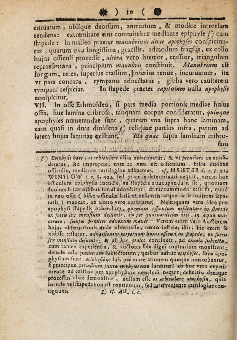 iA ctmiatum , obliqua deorfuro, amrorfum , U modica tnrrorfum tandms: extremitate eius committitur mediante epiphyfe f) cum ftapede : ia malleo praeter manubrium duas apophyfis confpiciun- tur , quarum vna iongiffima, gracilis, admodum fragilis, ex collo hujus officuli procedit , altera vero bteuior , ctaffior* triangulum repiaefenraus » principium manubrii conflrtuir. Manubrium eft lorgum, teres, fupedus crafTum ,|mfetius tenue , incuruatum > ita vt pars concaua , tympano adne&atur , gibba vero cauitatem tympani refpiciar. In ftapede praeter capitulum nulla apophyfis confpicitur, Vfl. In o(fe Ethmoideo, d pars media portionis mediae huius odis, fiue lamina cribrofa, tanquam corpus coniideratur, quinque apophyfes numerandae fujnt , quarum vna fupra hanc laminam, eam quali in duas diuidens g) reliquae pardm infra , partim ad latera hujus laminae exiftunr, HU quae fupra laminam eribro- fara . - - ' -n -i ' . ’ ; :! I \ *=*«iKS3!i339-sS muawi»^—■ /) Epiphyfis haec 5 os crhicuhre alias nancupatirr, & vt peculiare os conft- deratut , f«d improprie, nam re veru di: ollicilluni , hifce duobus oiTiculis, mediante cartilagine adhaerens» cf, H HISTER /, c. p. 21* ^'UNSLOW L c. $, 424, fed praecife determinari nequit, veram hoc oiTiculum epiphyiis incudis,'*rt ftapedis nuacupanduhn fit , quoniam duobus hifce offibus fimurl adns&itur , 8c-tantummodo cafu fit, quod in vno oflc ( hifce ©Arculis fcilicet exfumcis atque a fe* inuicem fepa. ratis ) maneat, ab altero vero abripiatur» Ncutiqtiam vero ideo pro apophyfi fla pedis habendum , quoniam cfficulum orbiculare in fiapede sx foetu fex menfium defurpie, & per quatuordecim dies r in aqua ma¬ cerato , femper firmiter adnexum manet; Verum enim vero Auilorem hujus obferuacionis male obxeruade, nemo inficias ibir, hic enim fe vidiffc reflatur, adhaefiontm perpetuam huius efficuli in fiapede, ex foetu fex menfinm defumtoy & ab hoc vnico concludit , ad omnia fubjzcla^ cum tamen experientia, & audloies fide digni contrarium monfirent;, deinde olla juniorum fu bj e diorum quibus adhuc epipbyfes, loco apo* phyfium funt, epiphyfibus fuis per macerationem quoque non orbantur 0 fi praecipue periofiium juxta epiphyfes non laedi turi ab hoc vero experi¬ mento ad exilteaqam apophyfiura concludi nequit 1 definitio demque pTOcelfus clare demonltrac , nullam efle es erbtculare apophyfin, quia incude veHlapcdeoyn efl: continuum, fcdiatetveaieate caitilaginccoa*