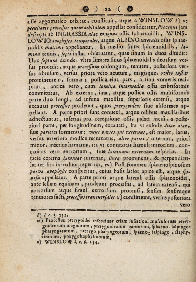 ) it c .■^waraKaa-1 ©fle zygomaHco oibicae, confittuit, atque a WiNSLOW /) vt peculiaris proceflus ejtsem orbitalem appellat conCid&mur.Procefjus jam defcyipti ab INGRASSIA alae magnae offis fphaenoidis, WINS- LOWIO apopbyfes temporales» atque ALBINO laterales offis fphae- noidis maximi appellantur., In medio finus fpbaenoidalis , /<*« mina tenuis, fepti. inftac:■ ©bfecuatur , quae tinum in duos diuidit; Hoc feptum deinde, vitra limites finus fphaenoidalis deorfum ver¬ ius procedit,. atque procejfum oblongum, tenuem, pofteriora ver¬ ius obtufum, verius priora vero acutum % magisque, roflri inflar prominentem, format % poftica eius pars , a tinu vomeris reci¬ pitur , antica vero, cum lamina, intermedia oflis cribnformis committitur* Ab externa » ima, atque poftica oflis multiformis parte duo longi, ad infima maxillae fupertoris extenti, atque excauati proceffus prodeunt , quos pterygoideos flue aiifornses ap¬ pellant. A parte priori funt conuexi, atque pflibus maxillaribus adneduntar* inferius pro, receptione oflis palati in-cifi,, a pofte- riori parte , per longitudinem, excauati, ira vt exinde duae alae $ flue parietes formentur: vnus paries qui externas, eft maior, latus, verius exteriora modice recuruatus, alter paries ,* internus, priori minor, inferius hamatus, ita vt conuexitas hamuli im rorfum, con- cauitas vero excrorfum ,, tiue laminam externam refpiciar. In facie externa laminae int?rnae, linea prominens, 8c pcrpendicu- feriter fica interdum reperirur, m) Poft foramen fphaenofpinofum parva apophyjis confpicitur, cuius hatis latior apice eft, atque fpi« nofa appellatur. A parte priori atque laterali oflis fphacnoidei, ante feliam equinam , prodeunt, proceflus, ad latera extenti, qui ancrorfum atque timui exrrorfum protenti, fentim fentimque tenuiores fadi,procejjus transuerfales n) conftituunt, verfuspofteriora vero i) l. c♦ 2^2* m) Proceflus pterygoidei inferuiuor etiam inferrioni ir.ufculorum ptery¬ goideorum magnorum , pterygoideorum pansorum, fphaeno lalpingo- pharyngaeorum , pterygo pharyngeorum, ipacftO- falpingo • ftaphj- linorum, pterygoftaphyJmorum ' n) WINSLOW/.*.#* »34, i