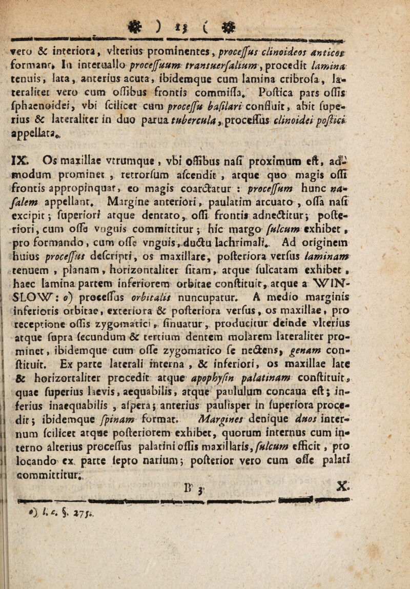_f____ ■.i .» \ wmtmiwmmt, mmma m m»mmmmmm—■ _ vero & interiora, vlterius- prominente*, procejfus clinoideos amices formans In interuallo procejfuum transturfalium yprocedit lamina tenuis, lata, anterius acuta, ibidemque cum lamina cribrofa, la- teralitei vero cum ollibus frontis commifTa* Poftica pars offis fphaenoicfgi, vbi fciiicer cum procejfu b a filari confluit, abit fupff- rius 8c lateralitcr in duo tubercula ygtocsVCas clinoidei pofim appellata* IX. Os maxillae vtrumque , vbi ©ffibus nafi proximum eft, ad* modum prominet , retrorfum afeendit , atque quo magis ofli frontis appropinquat, eo magis coartatur : procejfttm hunc na* falem appellant. Margine anteriori , paulatim arcuato , offa naft excipit*, fuperiori atque denraro„offi frontis adnedlitur; pofte- riori, cum offa voguis committitur ; hic margo fulcum exhibet , pro formando, cum ofli vnguis , du<ftu UchrimaJi* Ad originem huius procejfus deferiptr, os maxillare, pofteriora verfus laminam i tenuem , planam, horizontaliter fitam, atque filicatam exhibet, haec lamina partem inferiorem orbitae conftituir, atque a WIN- j SLOW: e) proccfTus orbitalis nuncupatur, A medio marginis 5 inferioris orbitae, exteriora 6c pofteriora verfus, os maxillae, pro receptione offis zygomatici» (innatur,. producitur deinde vlterius i atque fopra fecundum 6c tertium dentem molarem lateraliter pro- r minet, ibidemque cum offe zygomatico fe ne&ens, genam con¬ ii ftituit. Exparte laterali interna , & inferiori, os maxillae late I & horizortaliter procedit atque apophyftn palatinam conftituir, j quae fuperius laevis, aequabilis, atque paululum concaua eft; in¬ ii ferius inaequabilis , alpera; anterius paulisper In fuperiora proce- ji dir; ibidemque fpinam iormat. Margines denique duos inter¬ ii num fcilicet atque pofteriorem exhibet, quorum internus cum in* H terno alterius proceftus palatini oflis maxillaris, fulcum efficit, pro i! locando ex. parte fepto narium j pofterior vero cum ofte palati committitur* IV mmmmto *), U £» §> 271«. ***** x.