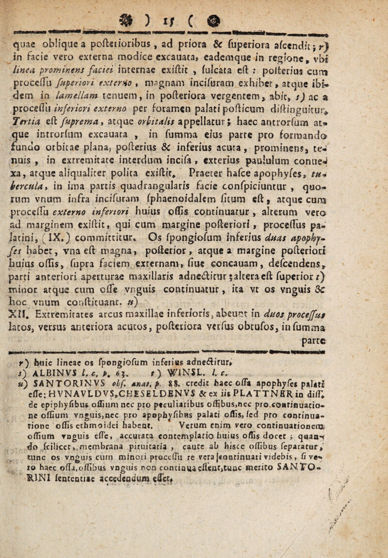 quae oblique a pofltrioribus , ad priora & (uperiora sfeendit» r) in facie vero externa modice excauata, caderoque in regione» vbi linea prominens faciei internae exiftit , fulcata elf ; poiterius cum procdFu fuperiori externo* nwgnam inciforam exbibcr atque ibi* dem ia lamellam tenuem, in pofteriora vergentem, abit, s) ac a procello inferiori externo per foramen palati pollicum dillinguituiv Tertia efb fuprettta, atque orbitalis appellatur* haec antrorffim at« que mtrorfum excauata , in ftimroa eius parte pro formanda fundo orbitae plana^ polkmis 8c inferius acuta, prominens* te* nuis , in extremitate interdum incifa, exterius paululum conue^ xa, atque aliqualiter polita exilfk* Praeter hafce apophyfes, tu* bercula, in ima partis quadrangularis facie confpiciuntur , quo¬ rum vnum infra incifuram fphaenoidakm luam ek, atque cum proceiKi externo inferiori huius offis continuatur , alterum vero ad marginem exillit, qui cum margine pokeriori, procedas pa¬ latini, (IX.) committitur* Os fpongiofum inferius duas apopkj- fes habet, vna eft magna» poderior, atque a margine pofteriad huius offis» fupra faciem externam, fiue concauam, defcendens» parti anteriori aperturae maxillaris adne&irur 5alteraeft fuperior r) minor atque cum o£F® vnguis continuatur, ita vt os vnguis 3c hoc vnum ccmlfituant. ») X1I4 Extremitates arcus maxillae inferioris, abeunt in duos proceffm latos, versus anteriora acutos, pofluiora verfus obtufos, infumam. parte * ■■ m *Mg»aro«wawaE«jii«»i«Ma nrwt <iKstmie»tnfnimmitacina ■*—' »—«»■»»MMMM»tWMMKMEKW r) feuic lineae os fpongiofum inferias adnedirur» i) ALBINVS l.c.K «h O W1NSL. I, c, u) SANTORINVS obf, anas, p S8. credit haec ofFa apophyfes palati effe; H VNAVLDVS,.CHISMLDJBNVS & ex iis PLaTTNBR in diffi de epiphyfibus oRium nec pro peculiaribus offibus,nec pro coarinuatio- ne offium vnguiSiUcc pro apeph^fibus palati offis, fed pro continua® tione offis cthmoidei habent. Verum enim vero continuationem,- offium vnguis elTe, accurata contemplatio huius offis docet i qaaa^ do fcilicet, membrana piruicaria , caute ab hisce oflibus feparacur» tunc os vnguis cum minori proccffii re vera [«mirinuari videbis, fi ve*, ro haec offa.oflrbus vnguis non continuaelknt,tuac merito SANTO® RINl fcmentiae accedendum edet»