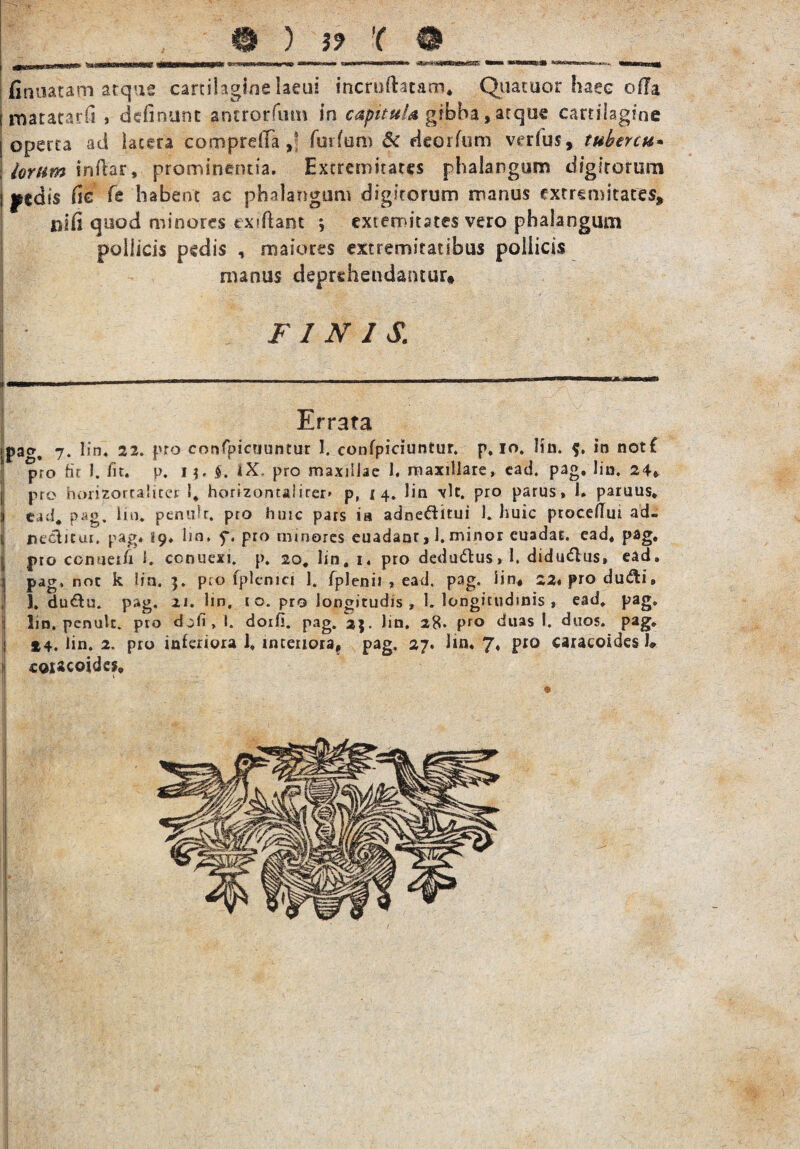 © ) }9 '( @ firmatam atque cartilagirse laeus incroftacam, Quauior haec ofla matatarfi > definunt antrorfum in capitula gibba , atque cartilagine operta ad latera comprdla forium & deorfum verfus» tubercu- lorum infVar, prominentia. Extremitates phalangam diglrorum yedis Re Te habent ac phalangam digitorum manus extremitates» ni fi quod minores exiftant ; extemitstes vero phalangum pollicis pedis , maiores extremitatibus pollicis nunus deprehendantur» / FINIS, Errata |pao, 7. lin. 22. pro confpicuuntur 1. confpiciuntur. p. 10. lin. in not£ pro far 1. fit. p. i?. §. iX, pro maxillae 1. maxillare, ead. pag. lin. 24» pro horizorcalicct 1, horizontaiirer» p, 14. lin vlc. pro parus, I. paruus* ead. pag, lin. penult. pro hmc pars ia adneditui 1. huic proceflui ad- neditur. pag. 19. lin, f. pro minores euadanr, 1. minor euadar. ead, pag. j pro ccnuerfi 1, conuexi, p. 20. lin. 1. pro dedudus» 1. didudus, ead. pag, noc k lin. 3. pro lplenici 1. fplenii » ead. pag. lin# 22«produdi» , 1. dudu. pag. zl* hn, 1 °* pr® longitudis , 1. longitudinis , ead. pag* lin. penult. pro defi, I. doifi. pag. aj. lin. 28. pro duas 1. duos. pag. *4. lin. 2. pro inferiora 1. interiora, pag. 27. lin. 7, pro caracoides 1* i coracoidei®