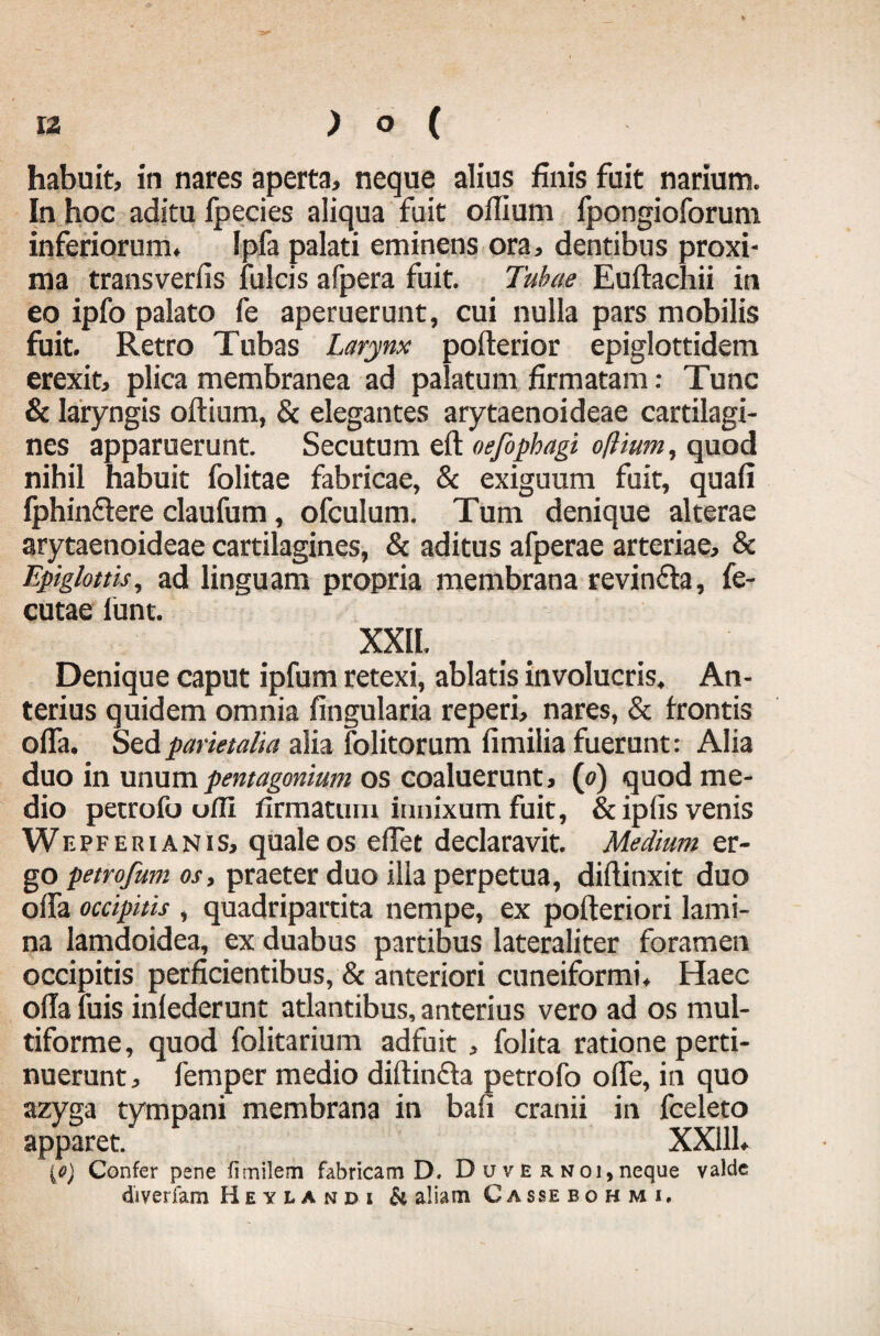 habuit, in nares aperta, neque alius finis fuit narium. In hoc aditu fpecies aliqua fuit oflium fpongioforum inferiorum. Ipfa palati eminens ora, dentibus proxi¬ ma transverfis fulcis afpera fuit. Tubae Euftachii in eo ipfo palato fe aperuerunt, cui nulla pars mobilis fuit. Retro Tubas Larynx pofterior epiglottidem erexit, plica membranea ad palatum firmatam: Tunc & laryngis oflium, & elegantes arytaenoideae cartilagi¬ nes apparuerunt. Secutum eft oefophagi oflium, quod nihil habuit folitae fabricae, & exiguum fuit, quafi fphin&ere claufum, ofculum. Tum denique alterae arytaenoideae cartilagines, & aditus afperae arteriae, & Epiglottis, ad linguam propria membrana revinfla, fe- cutae lunt. XXII. Denique caput ipfum retexi, ablatis involucris. An¬ terius quidem omnia fingularia reperi, nares, & frontis offa. Sed parietalia alia folitorum fimilia fuerunt: Alia duo in unum pentagonium os coaluerunt, (c) quod me¬ dio petrofo ofli firmatum innixum fuit, & ipfis venis Wepf eri anis, quale os edet declaravit. Medium er¬ go petrofum os, praeter duo illa perpetua, diflinxit duo offa occipitis , quadripartita nempe, ex pofteriori lami¬ na lamdoidea, ex duabus partibus lateraliter foramen occipitis perficientibus, & anteriori cuneiformi. Haec orta luis iniederunt atlantibus, anterius vero ad os mul¬ tiforme, quod folitarium adfuit , folita ratione perti¬ nuerunt , femper medio diitincta petrofo orte, in quo azyga tympani membrana in bafi cranii in fceleto apparet. XX111. {#) Confer pene fimilem fabricam D. D u v E r noi, neque valde diverfam Heylandi & aliam Cassebohmi,