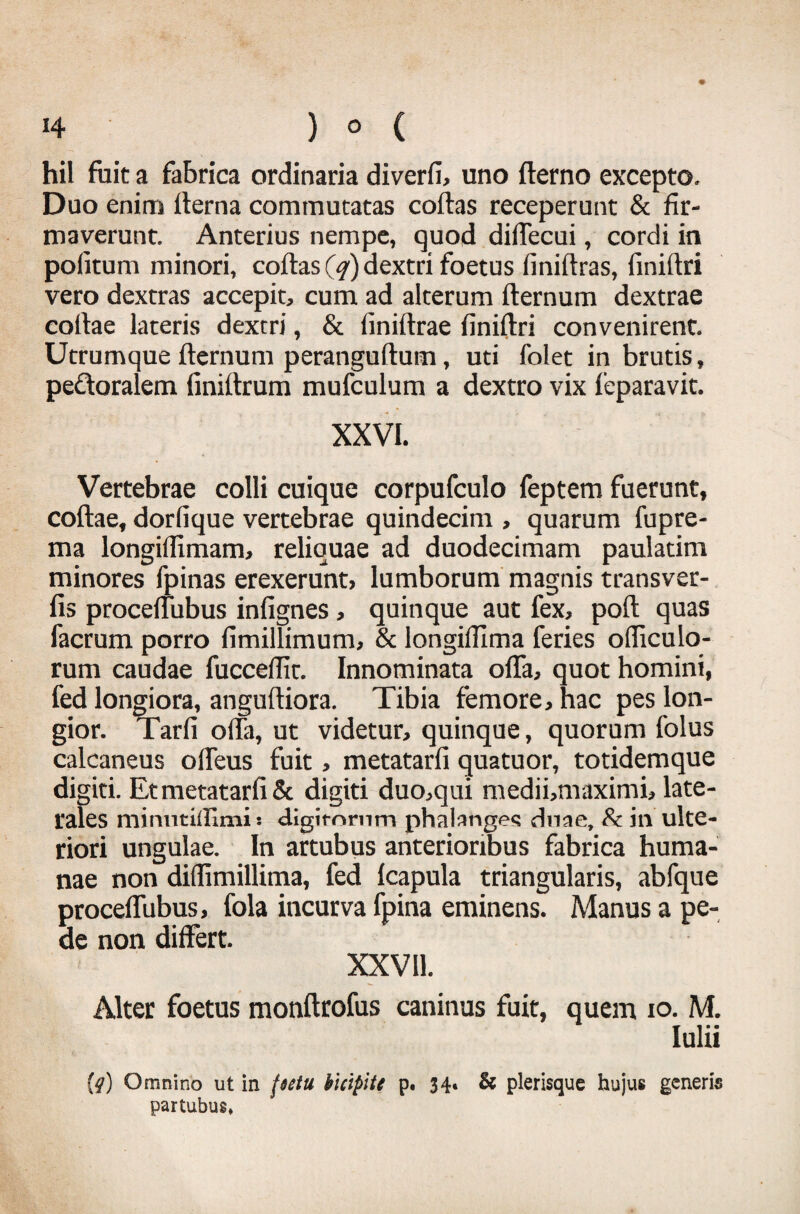 hil fuit a fabrica ordinaria diverfi, uno fterno excepto. Duo enim fterna commutatas coftas receperunt & fir¬ maverunt. Anterius nempe, quod diffecui, cordi in politum minori, coftas (q) dextri foetus liniftras, finiftri vero dextras accepit, cum ad alterum fternum dextrae coftae lateris dextri, & finiftrae finiftri convenirent. Utrumque fternum peranguftum, uti folet in brutis, pe&oralem (iniftrum mufculum a dextro vix feparavit. XXVI. Vertebrae colli cuique corpufculo feptern fuerunt, coftae, dorlique vertebrae quindecim , quarum fupre- ma longiilimam, reliquae ad duodecimam paulatim minores fpinas erexerunt, lumborum magnis transver- fis proceliubus infignes , quinque aut fex, poft quas facrum porro fimillimum, & longiftima feries officulo- rum caudae fuccefiit. Innominata offa, quot homini, fed longiora, anguftiora. Tibia femore, hac pes lon¬ gior. Tarfi offa, ut videtur, quinque, quorum folus calcaneus offeus fuit, metatarfi quatuor, totidemque digiti. Et metatarfi & digiti duo,qui medii,maximi, late¬ rales minntiflimi s digiforum phalanges dnae, & in ulte¬ riori ungulae. In artubus anterioribus fabrica huma¬ nae non diflimillima, fed Icapula triangularis, abfque procefliibus, fola incurva fpina eminens. Manus a pe¬ de non differt. XXV11. Alter foetus monftrofus caninus fuit, quem io. M. Iulii (q) Omnino ut in fectu bicipite p. 34» & plerisque hujus generis partubus»