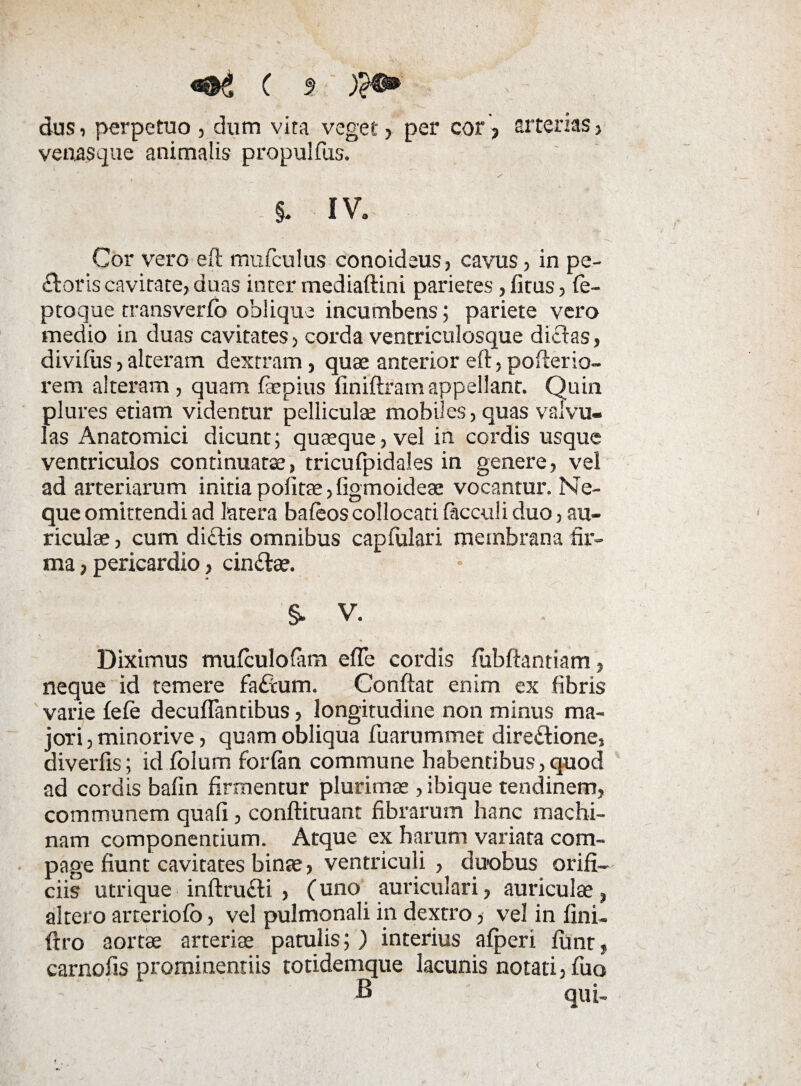 dus, perpetuo , dum vita veget > per cor > arterias, vena$que animalis propulfus. $. IV. Cor vero eft mufculus conoideus, cavus, in pe¬ xioris cavitate, duas inter mediaftini parietes, litus, fe- ptoque transverfo oblique incumbens; pariete vero medio in duas cavitates, corda ventriculosque diclas, dividis, alteram dextram, quae anterior eft, pofterio- rem alteram , quam faepius liniftram appellant. Quin plures etiam videntur pelliculae mobiles, quas valvu¬ las Anatomici dicunt; quaeque, vel in cordis usque ventriculos continuatae, tricufpidales in genere, vel ad arteriarum initia podtae, figmoideae vocantur. Ne¬ que omittendi ad latera baleos collocati Oicculi duo, au¬ riculae , cum di£lis omnibus capdilari membrana fir¬ ma , pericardio, cinXtae. §. V. Diximus mufculofam efle cordis fubftantiam, neque id temere faXtum. Conflat enim ex fibris varie fefe decuflantibus, longitudine non minus ma¬ jori , minorive, quam obliqua fuarummet direXlione, diverfis; id folum forfan commune habentibus, quod ad cordis bafin firmentur plurimae, ibique tendinem, communem quafi, conftituant fibrarum hanc machi¬ nam componentium. Atque ex harum variata com¬ page fiunt cavitates binae, ventriculi , duobus orifi¬ ciis utrique inftruXli , (uno auriculari, auriculae, altero arteriofo, vel pulmonali in dextro, vel in fini- ftro aortae arteriae patulis;) interius afperi funt, carnofis prominentiis totidemque lacunis notati, fuo fi qui-