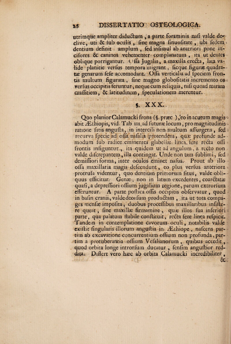 utrimque ampliter didu&um , a parte foraminis nafi valde de¬ clive, uti St lub oculis fine magna linuofitate , ubi fedenx * dentium definit amplum , fed infimul ab anteriori pone in* cifores St caninos vehementer complanatum , ita ut dentes oblique porrigantur. Ofia jugalia, a maxilla erecta, lata va¬ lide ' planitie verfus tempora migrant, ficque figurae quadra¬ tae genarum fele accomodant. Gfia verticalia ad Ipeciem fron¬ tis multum figurata , fine magno globofitatis incremento os verfus occipitis feruntur, nequecum reliquis, nifi quoad miram craflkiem, & latitudinem, fpecuktionem merentur. s. XXX. Qpo planior Calamucki frons (§. praec ) ,*eo in acutum magis < abit iEthiopis, vid. Tab lii^ad futurae locum, pro magnitudinis ratione fatis angufia, jn intercili non multum afl urgens , fed : recurva fpecie ad ofia nafali» protendens* quae profunde ad- - modum fu b radice .eminentes glabella-linea, fere rcdfa ofii frontis infiguntur., ita quidem ut ad angulum, a rccfo non valde difcrepantem, illa contingat. Unde non tam fublimi , fed demifiiori forma, inter oculos eminet rnfus. Prout ab illo ofia maxillaria magis defcendunt, eo plus verfus anteriora protrufa videntur* quo dentium primorum fitus, valde obli¬ quus efficitur.' Gente , non in latum excedentes, coardfatas quafi,a depreffioriofiium jugalium regione,parum extrorfum efferuntur. A parte poftica offis occipitis obfervatur, quod in bafin cranii, valdedeoifum producam , ita ut tota compa¬ ges menfae impofita, duobus procefiibus maxillaribus infifie- re queat , fine maxillae firmamine , quae illos fua inferiori parte, qua palatum Itabile conflituit, redfa fere linea refpicit. Tandem in contemplatione cavorum oculi, notabilis valde cxifiit fingularis illorum anguftia in iEthiope , nafcens par- tim ab excavatione concurrentium ofiium non profunda, par- tim a protuberantia offuim Vefalianorum , quibus accedit, , quod orbita longe introrfum ducatur , fenfim anguftior red¬ dita., Difiert vero hcec ab orbita Calamucki incredibiliter ,