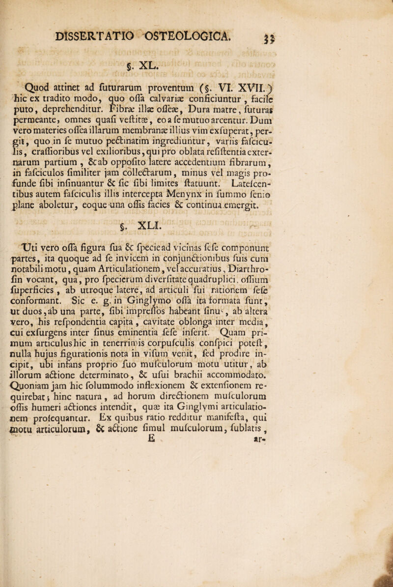 §. XL. Quod attinet ad futurarum proventum (§, VI. XVII.) hic ex tradito modo, quo offa calvariae conficiuntur , facile puto, deprehenditur. Fibrae illae offeae, Dura matre, futuras permeante, omnes quafi veftitae, eoa fe mutuo arcentur. Dum vero materies offea illarum membranae illius vim exfuperat, per¬ git, quo in fe mutuo pe&matim ingrediuntur, variis falcicu¬ lis, craflioribus vel exilioribus,qui pro oblata refiftentiaexter¬ narum partium , ficab oppofito latere accedentium fibrarum, in fafciculos fimiliter jam collectarum, minus vel magis pro¬ funde fibi infirmantur fic fic fibi limites ftacuunt. Lateicen- tibus autem fafciculis illis intercepta Menynx in fummo fenio plane aboletur , eoque una offis facies & continua emergit. §. XLL TJti vero offa figura fua fic fpeciead vicinas fefe componunt partes, ita quoque ad fe invicem in conjunCtiombus fuis cum notabili motu, quam Articulationem, vel accuratius, Diarthro» fin vocant, qua, pro fpecierumdiverfitatequadruplici, offirnn fuperficies , ab utroque latere, ad articuli fui rationem fefe conformant. Sic e. g. in Ginglymo offa ita formata funt, ut duos,ab una parte, fibi imprenos habeant finu^, ab altera vero, his refpondentia capita , cavitate oblonga inter media, cui exfurgens inter finus eminentia fefe inferie. Quam pri¬ mum articulus hic in tenerrimis corpufculis confpici poteff, nulla hujus figurationis nota in vifum venit, fed prodire in¬ cipit, ubi infans proprio fuo mufculonim motu utitur, ab illorum aCtione determinato, fic ufui brachii accommodato. Quoniam jam hic folummodo inflexionem Sc extentionem re» quirebat*, hinc natura, ad horum dire&ionem mulculorum offis humeri aftiones intendit, quae ita Ginglymi articulatio¬ nem proiequantur. Ex quibus ratio redditur manifefta, qui motu articulorum, Sc a&ione fimul mufculorum, fublatis E ar-