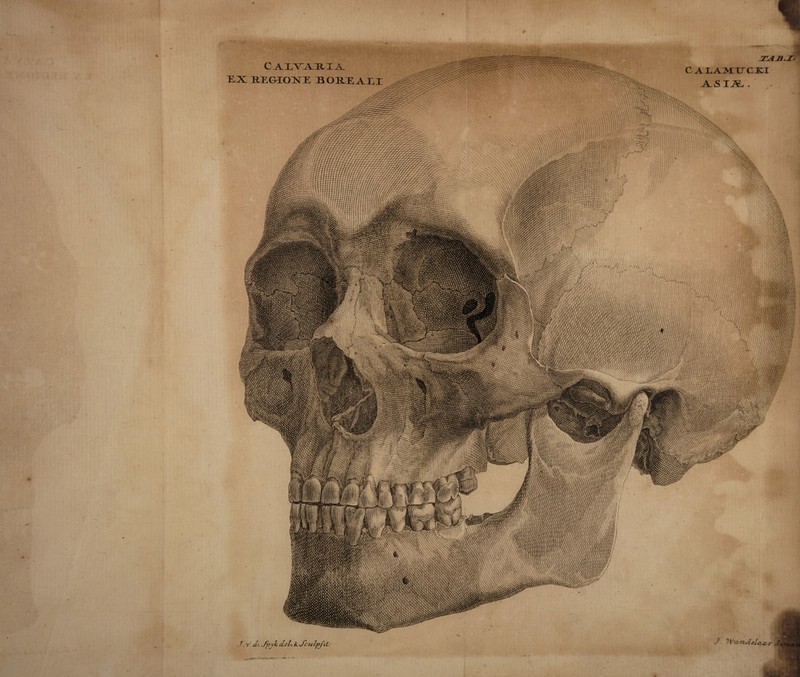 mmm WMM 'mm v»V.VfV^K»W!' J 'Wrvruictcia r