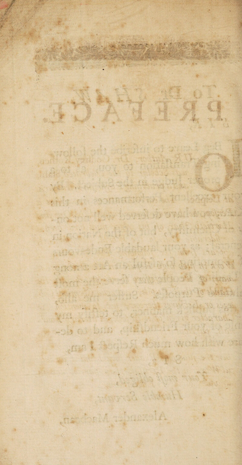 F t A * 1 vit t> ■ : : . 'F*