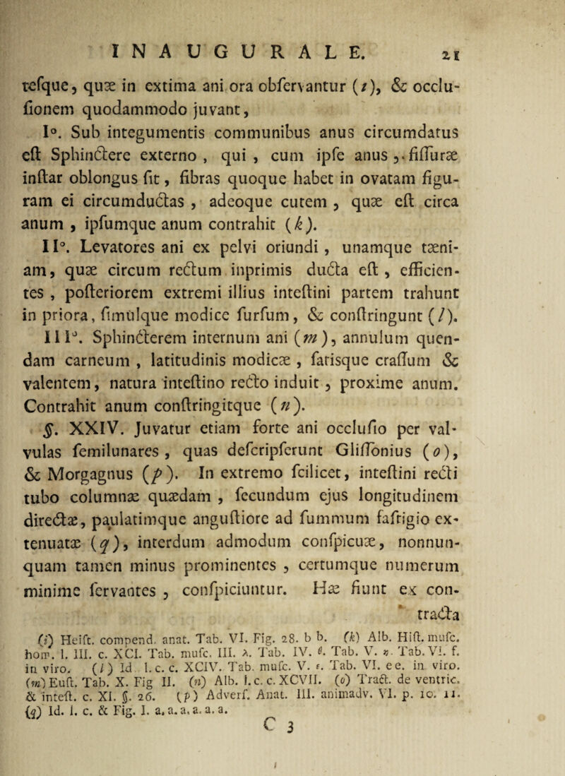 tefque, qux in extima ani ora obfervantur (/), & occlu- fionem quodammodo juvant, 1°. Sub integumentis communibus anus circumdatus eft Sphinftere externo, qui, cum ipfe anus vfifturae inftar oblongus fit, fibras quoque habet in ovatam figu¬ ram ei circumdudas , adeoque cutem , quae eft: circa anum , ipfumque anum contrahit (k). 11°. Levatores ani ex pelvi oriundi, unamque taeni¬ am, quae circum redum inprimis duda eft, efficien¬ tes , pofteriorem extremi illius inteftini partem trahunt in priora, fimulque modice furfum, & conftringunt (/), 111°. Sphinderem internum ani (t#)3 annulum quen- dam carneum , latitudinis modicae , farisque craftum & valentem, natura inteftino redo induit, proxime anum. Contrahit anum conftringitque (//). §. XXIV. Juvatur etiam forte ani occlufio per val¬ vulas femilunares , quas defcripfcrunt Gliftonius (0), & Morgagnus (/>). In extremo fcilicet, inteftini redi tubo columnae quaedam , fecundum ejus longitudinem diredae, paulatimque anguftiore ad fummum faftigio ex¬ tenuatae (f), interdum admodum confpicuae, nonnun- quam tamen minus prominentes , certumque numerum minime lervaotes 5 confpiciuntur. Hae fiunt ex con- tradla (0 Heift. compend. anat. Tab. VI. Fig. 28. b b. (k) A!b. Hifl.mufc. hoir. 1. III. c. XCI. Tab. mufc. III. a. Tab. IV. e. Tab. V. Tab. VI. f. in viro. (/) Id l.c. c. XCIV. Tab. mufc. V. f. Tab. VI. e e. in viro. (m) Euft. Tab. X. Fig II. (») Alb. l.c.c.XCVII. (0) Traft. de ventric, & mteft. c. XI. $. 26. CP) Adverf. Anat. III. animadv. VI. p. 10. u. Id. 1. c. & I'ig. I. a. a. a, a. a. a.