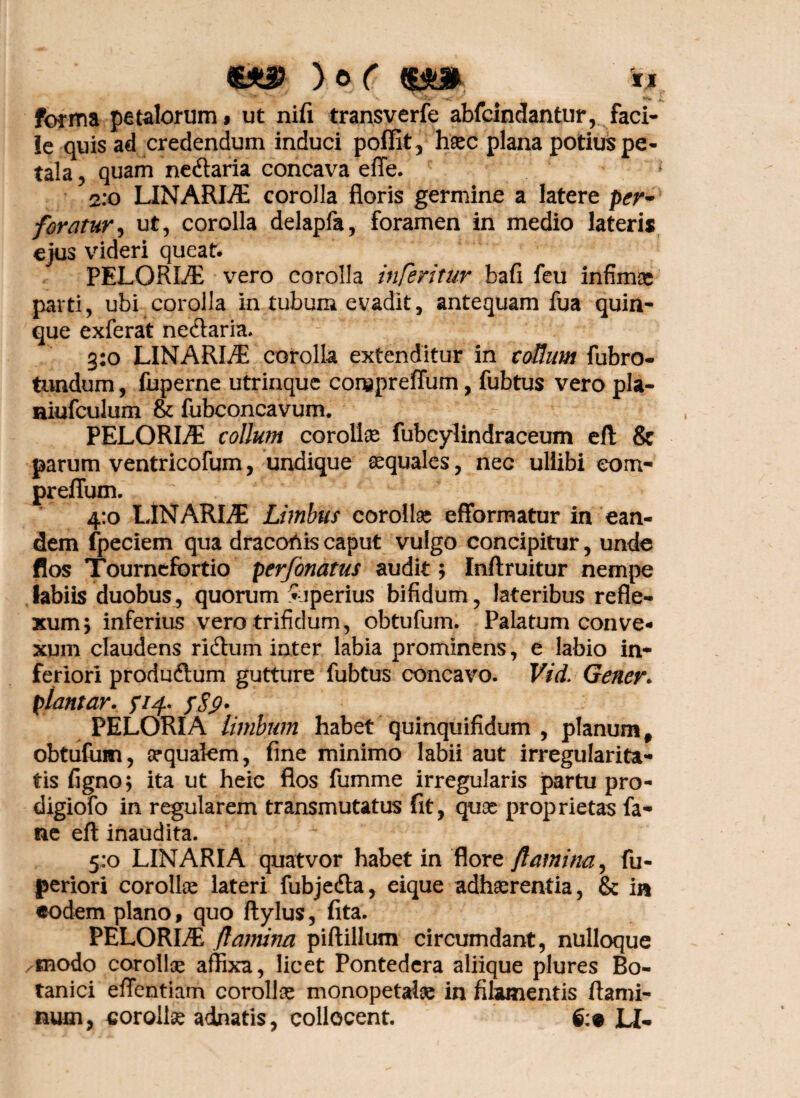 €*3> ) 0 ( nm *? forma petalorum 9 ut nifi transverfe abfcindantur, faci¬ le quis ad credendum induci poffit, haec plana potius pe¬ tala ? quam ne&aria concava effe. 2:0 LINARIE corolla floris germine a latere per¬ foratur, ut, corolla delapfa, foramen in medio lateris ejus videri queat. PELORL/E vero corolla inferitur bafi feu infimas parti, ubi corolla in tubum evadit, antequam fua quin¬ que exferat netflaria. 3:0 LINARLE corolla extenditur in collum fubro- tundum, fuperne utrinque corspreffum, fubtus vero pla- niufculum & fubconcavum. PELORLE collum corolla fubcylindraceum ell & parum ventricofum, undique aequales, nec ullibi eom- preffum. 4:0 LlNARLflE Limbus corollas efformatur in ean¬ dem fpeciem qua dracoriis caput vulgo concipitur, unde flos Tournefortio perfonatus audit; Inftruitur nempe labiis duobus, quorum Superius bifidum, lateribus refle¬ xum; inferius vero trifidum, obtufum. Palatum conve¬ xum claudens riiftum inter labia prominens, e labio in¬ feriori produftum gutture fubtus concavo. Vid. Gener. piantar. y/4. PELORIA limbum habet quinqiiifidum , planum # obtufum, aequalem, fine minimo labii aut irregularita¬ tis figno; ita ut heic flos fumme irregularis partu pro- digiofo in regularem transmutatus fit, quae proprietas fa- ne eft inaudita. 5:0 LINARIA quatvor habet in flore flamina, fu- periori corollae lateri fubjedta, eique adhaerentia, & in eodem plano, quo flylus, fita. PELORIS flamina piftillum circumdant, nulloque /modo corollae affixa, licet Pontedera aliique plures Bo¬ tanici effentiam corollae monopetalae in filamentis flami¬ num, corollae adnatis, collocent. 6:9 LI-