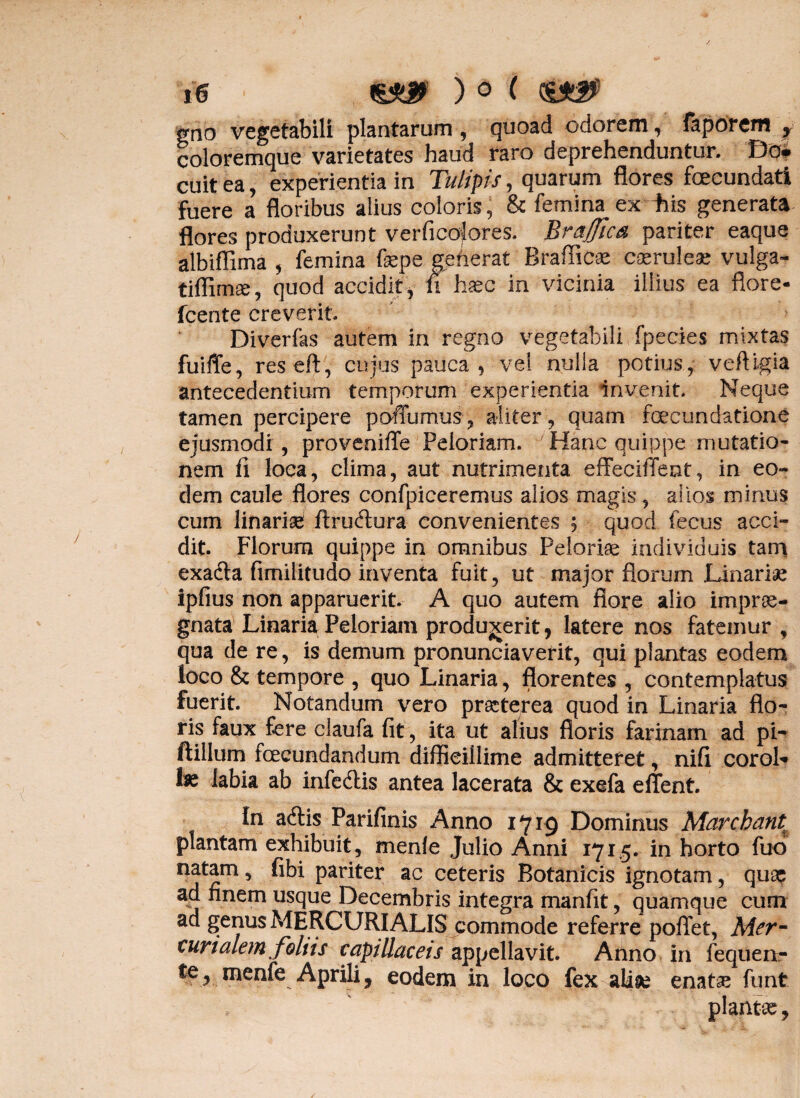 gno vegetabili plantarum, quoad odorem, faporem , coloremque varietates haud raro deprehenduntur. Do¬ cuit ea, experientia in Tulipis, quarum flores fecundati fuere a floribus alius coloris, & femina ex fiis generata flores produxerunt verficofores. Braffica pariter eaque albiflima , femina fepe generat Braflicse coeruleae vulga- tiflima:, quod accidit, fi haec in vicinia illius ea flore- fcente creverit Diverfas autem in regno vegetabili fpecies mixtas fuiffe, reseft, cujus pauca, vel nulla potius, veftigia antecedentium temporum experientia invenit. Neque tamen percipere poffumus, aliter, quam foecundatione ejusmodi , proveniffe Peloriam. Hanc quippe mutatio¬ nem fi loca, clima, aut nutrimenta effeciffent, in eo¬ dem caule flores confpiceremus alios magis, alios minus cum linariae ftruftura convenientes 5 quod fecus acci¬ dit Florum quippe in omnibus Peloriae individuis tam exadta fimilitudo inventa fuit, ut major florum Linariae ipfius non apparuerit. A quo autem flore alio imprae¬ gnata Linaria Peloriam produgerit, latere nos fatemur , qua de re, is demum pronunciaverit, qui plantas eodem loco & tempore , quo Linaria, florentes , contemplatus fuerit Notandum vero praeterea quod in Linaria flo¬ ris faux fere claufa fit, ita ut alius floris farinam ad pi- ftillum fcecundandum difficillime admitteret, nifi coroL 1« labia ab infe&is antea lacerata & exefa effent. In acflis Parifinis Anno 1719 Dominus Marcbant plantam exhibuit, menfe Julio Anni 171,5. in horto fuo natam 5 ^ Par^er ac ceteris Botanicis ignotam, quae ad finem usque Decembris integra manfit, quamque cum ad genus MERCURIALIS commode referre pofTet, Mer- curialem foliis capillaceis appellavit. Anno in fequen- menfe Aprili, eodem in loco fex aliae enate funt