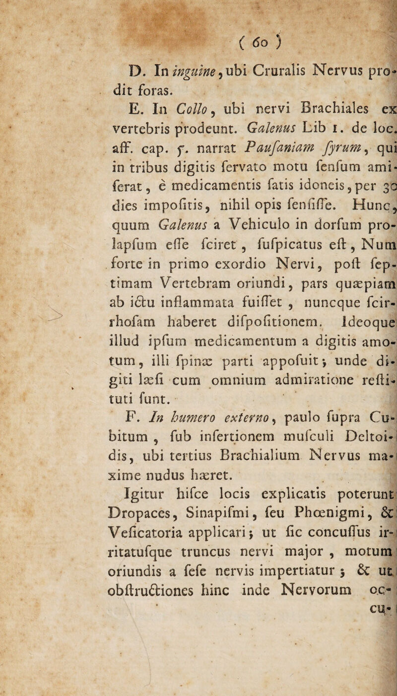 > ( <So ) D. In inguine, ubi Cruralis Nervus pro¬ dit foras. E. In Collo, ubi nervi Brachiales ex vertebris prodeunt. Galenus Lib i. de loc. aff. cap. f. narrat Paufaniam fyrum, qui in tribus digitis fervato motu fenfum ami* ferat 5 e medicamentis fatis idoneis 5 per 30 dies impolitis, nihil opis feniifle. Hunc, quum Galenus a Vehiculo in dorfum pro- lapfum efle fciret , fufpicatus eft,Num forte in primo exordio Nervi, poli fep- timam Vertebram oriundi, pars quaspiam ab ictu inflammata fuiflet , nuneque fcir- rhofam haberet difpofltioncm. Ideoque illud ipfum medicamentum a digitis amo¬ tum, illi fpinoc parti appofuif, unde di¬ giti lasfl cum omnium admiratione refti- tuti funt. F. In humero externo, paulo fupra Cu¬ bitum , fub infertionem mufculi Deltoi- dis, ubi tertius Brachialium Nervus ma¬ xime nudus hasret. Igitur hifce locis explicatis poterunt Dropaces, Sinapifmi, feu Fhoenigmi, & Veflcatoria applicari \ ut fic concuflus ir- ritatufque truncus nervi major , motum oriundis a fefe nervis impertiatur 3 & ut obftruftiones hinc inde Nervorum o.c- cu»