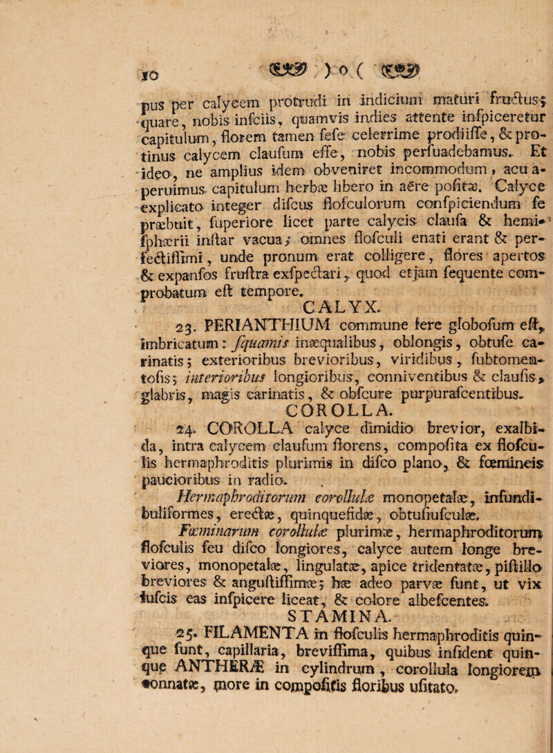 pus per calycem protrudi in indicium maturi 'fro&us*. quare, nobis .infciis, quamvis indies attente infpiceretur capitulum, florem tamen fele celerrime prodiiffe, & pro¬ tinus calycem claufum effe, nobis perfuadebamus.. Et ideo, ne amplius idem obveniret incommodum , acu a- ' per trimus capitulum herbas libero in a€re pofitae. Calyce explicato integer difcus flofeulorum confpiciendum fe prsebuit, fuperiore licet parte calycis claufa & herni* fphacrii initar vacua; omnes flofculi enati erant & per* fe&iffimi, unde pronum erat colligere, flores apertos & expanfos fruftra exfpe&ariquod etjain fequente com* probatum eft tempore. CALYX. 23. PERIANTHIUM commune Iere globofum efi,; imbricatum r fquamis inaequalibus, oblongis, obtufe ca¬ rinatis 5 exterioribus brevioribus, viridibus, fubtomen- tofis 5 {merioribus longioribus, conniventibus & claufis * glabris, magis carinatis, & obfcure purpurafcentibus. COROLLA. 24. COROLLA calyce dimidio brevior, exalbi¬ da, intra calycem claufum florens , compofita ex flofcu- Bs hermaphroditis plurimis in difco plano, & fcemineis paucioribus in radio. Hermaphroditorum eorolluhe rnonopetafe, infundi- buliforrnes, eremae, quinquefidas, obtufiufcute. Fmninarum corollule plurimae, hermaphroditorum flofculis feu difco longiores, calyce autem longe bre¬ viores, monopetafe , lingulatae, apice tridentat^, piflillo breviores & anguftiffimas, hae adeo parvae funt, ut vix lufcis eas infpicere liceat, & colore albefcentes. STAMINA . | ^5* FILAMENTA in flofculis hermaphroditis quin® • que funt, capillaria, breviffima, quibus infident quin- qup ANTHERiT in cylindrum , coroliula longiorem 1 «onnafse, piore in cojnpofitis floribus ufitato.