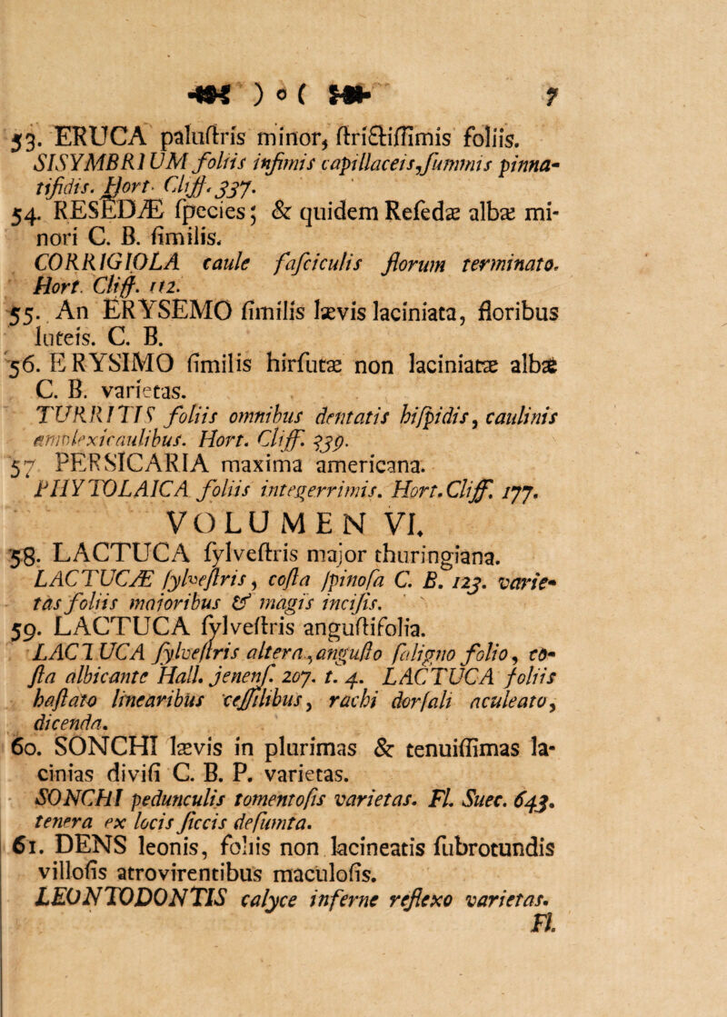 53. ERUCA palurtns mlnor^ ftn£linirnis foliis. SISYMBRl UM foliis infimis capillaceis fumnns pinna* tifidis. Hort^ CAiJf. 54. RESEDiE fpecies; & quidem Refedse albai mi¬ nori C. B. fimilis. CORRIGIOLA caule fafciculis florum terminato, Hort, Clif fti. 55. An ERYSEMO fimilis Isevis laciniaca, floribus luteis. C. B. 56. ERYSIMO fimilis hirfutas: non laciniat^ albaS C. B. varietas. TURRITIS foliis omnibus dentatis hifpidis^ cauli nis e^nivA^xicaulibus. Hort, CUff, 57 PER SIC AR IA maxima americana* RIIYTOLAICA foliis integ^errimis. Hort.Clijf, /77. VOLUMEN VL 58. LACTUCA fylveftris major thuringiana. LACTUCjE fyheflris ^ cojla jpinola C. B, nj. vcnAe* tds foliis majoribus df magis incijis, ' ^ 59. LACTUCA Mveilris anguflifolia. LACTUCA fylvellris altern.^anguflo faligno folio ^ cd* fla albicante Hali, jenenf. zoy, t. 4. LACTUCA foliis haflato linearibus xejffilihusy rachi dorfalt aculeato y dicenda. 60. SONCHI \xvis in plurimas & tenuiffimas la¬ cinias divifi C. B. P. varietas. SONCHI pedunculis tomentofis varietas. FI. Suec. 64.^. tenera ex locis flccis defumta. 61. DENS leonis, foliis non kcineatis fubrotundis villofis atrovirentibus maculofis. LEONTODONTIS calyce inferne reflexo varietas. FI.