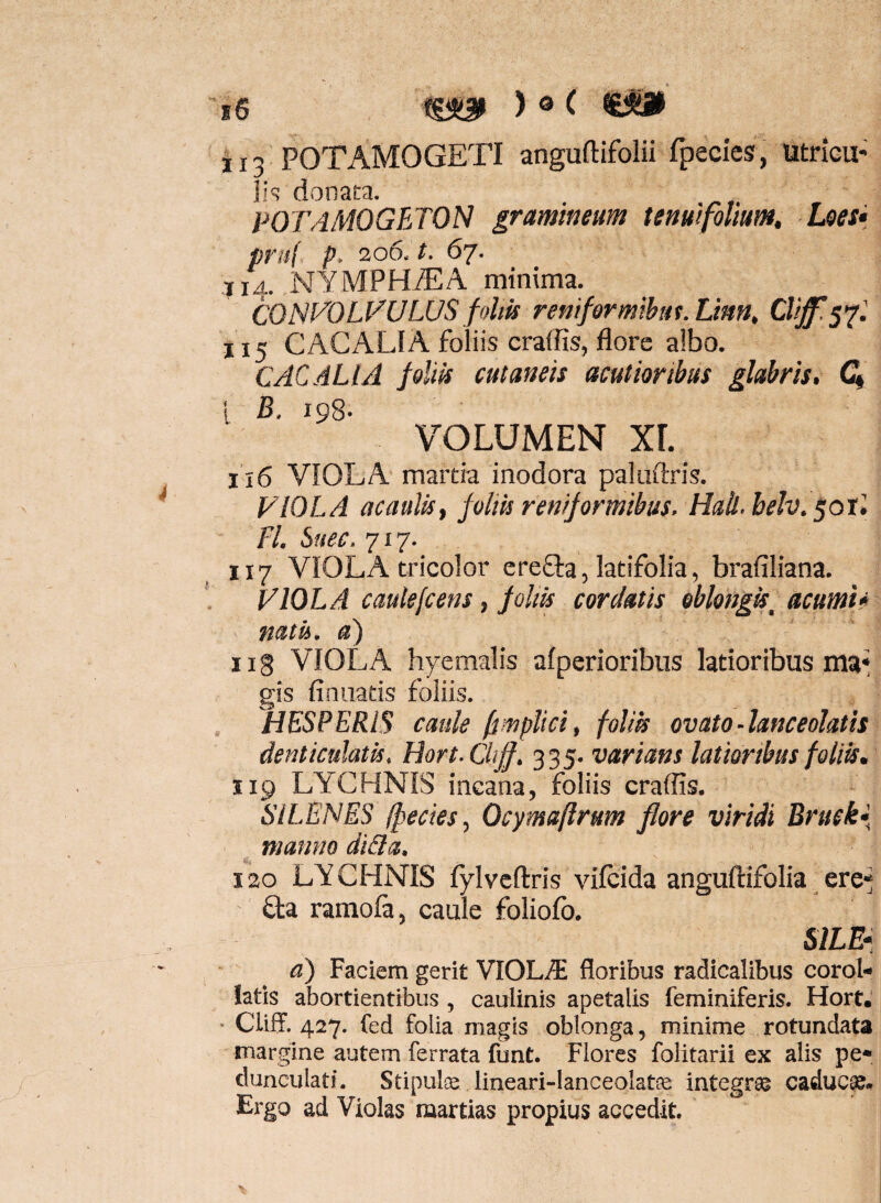 ' r6 f i 13 POTAMOGETI anguftifolii fpecics, Utricu* i!«: donata. POTAMOGETON gramineum tenui folium, Loes* pru(, p, 206. t. 67. 114. NYMPHiEA minima. CONICOLIMULUS follis reniformibuf.Linn, 115 CACALfA foliis craiRs, flore albo. CACALIA foliis cutaneis acutioribus glabris, i B. 198- VOLUMEN Xr. 116 VIOLA martia inodora paluftris. VIOLA acaulis, foltis reniformibus. Hall.belv. ^oxl FI, Suec. 717. 117 VIOLA tricolor ere£la, brafiliana. VIOLA caulefcens, foltis cordatis oblongis^ acumh natis, a) 118 VIOLA hyemalis alperioribus latioribus ma» gis finiiatis foliis. . HESPERiS caule fimplici, foliis ovato-lanceolatis denticulatis. Bort-Cliff. 335. varians latioribus foliis, 119 LYXHNIS ineana, foliis craffis. SILENES (pectes, Ocymaftrum flore viridi Briick- manno di&a. 120 LYCHNIS fylvcftris Adicida anguftifolia ere* fta ramola, caule foliolo. SILE* a) Faciem gerit VIOLy^ floribus radicalibus corol- latis abortientibus, caulinis apetalis feminiferis. Hort.' ■ CUff. 427. fed folia magis oblonga, minime rotundata margine autem ferrata funt. Flores folitarii ex alis pe* dunculati. Stipulse lineari-lanceolat® integrae caduc». Ergo ad Violas martias propius accedit.