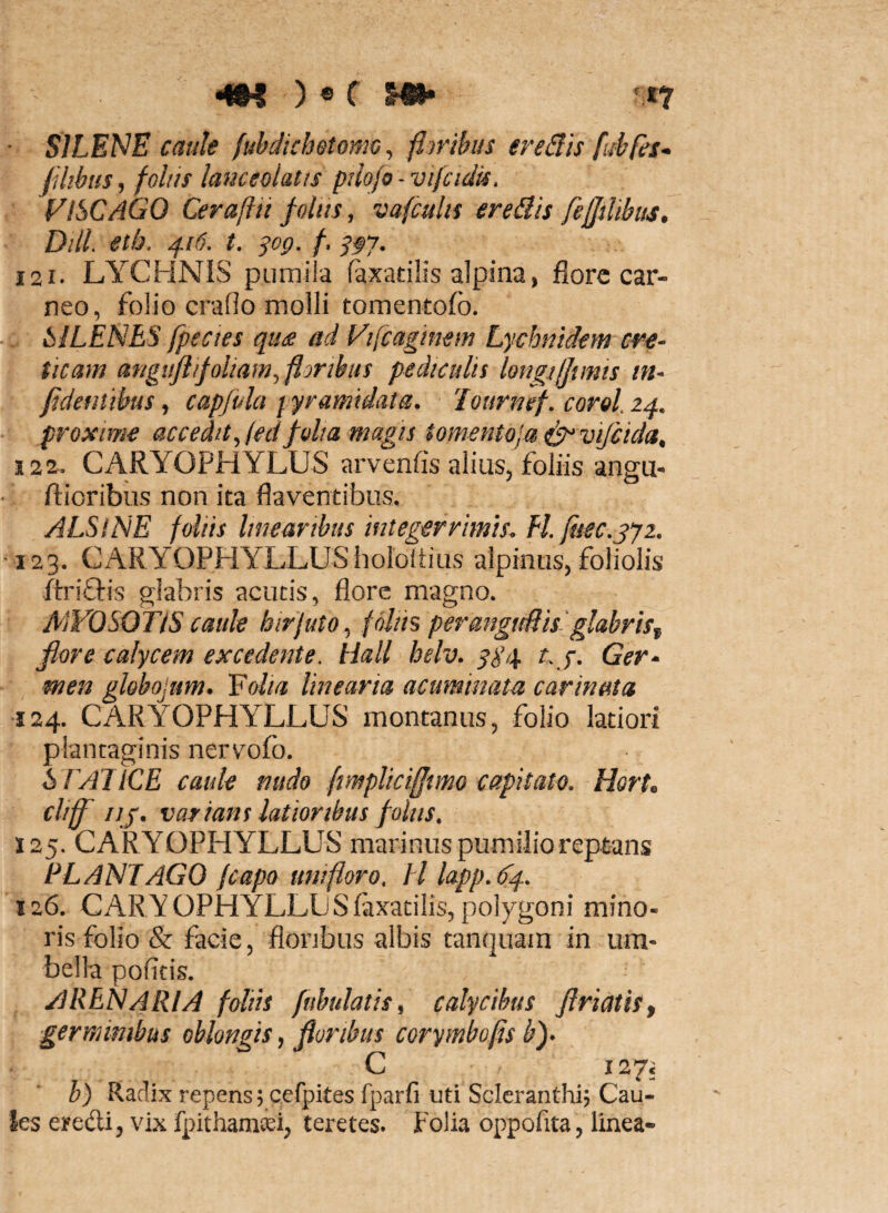 SILENE caule fubdichetonw ^ fi tribus eredis fiibfex- Jihbus, fohis lanceolatis pdojo-vtfcidis, VISCAGO Cer allii foliis, vafculis er e ilis fejjtltbus. Diil. etb. ^.{6. t. }op. f. j>f7, I2I- LYCHNIS pumila Faxadlis alpina, flore car¬ neo, folio craflo molli tomentofo. ilLENES fpecies qua ad yifcaginem Lycbnidem cre¬ ticam anguftifoliam, floribus pediculis longjflimts in- fidentibus, capjula pyramidata. lournef. corol. zq.. proxime accedit, ledfolia magis tomentoja ^vifeida, 122. CARYOPHYLUS arvenfis alius, foliis angu- ftioribus non ita flaventibus, ALSlNE foliis linearibus integerrimis. H. fiiec.sjz. 123. Ci\RYOPHYLLUSiioio(iius alpinus, foliolis ftriflis glabris acutis, flore magno. AiVOSQTlS caule hir juto, foliis perangMs' glabris^ flore calycem excedente. Hali helv. t. j. Ger¬ men glebojum. 'Folia linearia acuminata carinata 124. CARYOPHYLLUS montanus, folio latiori plantaginis nervofb. STAT ICE caule nudo fmplicifjmo capitato. Hort, cliflf nj. varians latioribus follis, 125. CARYOPHYLLUS marinus pumilio reptans PLANTAGO /capo tmifloro, Tl lapp.dq.. 126. CARYOPHYLLLSfaxatilis, polygoni mino¬ ris folio & facie, floribus albis tanquam in um¬ bella politis. arenaria foliis fubulatis, calycibus flriatiSf germinibus oblongis, floribus corymbofls b). C 127; b) Radix repens; cefpites fparfi uti Scicranthi; Cau¬ les eredi, vix fpithamcei, teretes. Folia oppofita, linea-