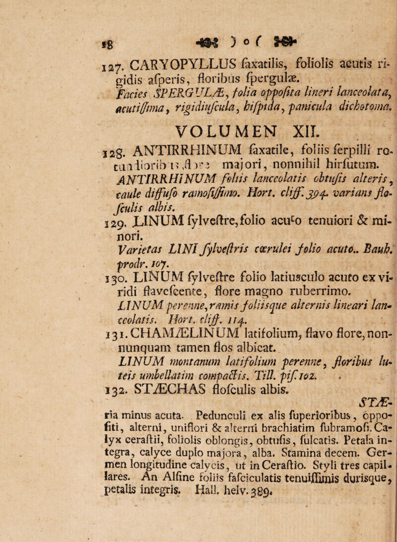 fs ^ ) o r ^ 127. GARYOPYLLUS faxatilis, foliolis aeutis ri¬ gidis afperis, floribus fperguls. Facies SPEKGUL/F, folia opfoftta lineri Imceolata, mutifftma, rigidiufcula, hifptda, f anicula dichotoma, VOLUMEN XIT. 32g. ANTIRRHINUM faxatile, foliis ferpilli ro- tiiiiiiorib i? ,fl majori, nonnihil hirfuturn. ANTIRKHINUM fehis lanceolatis obtujis alteris^ caule difftsfi ramoftjfimo. Hort. cliff. varians fla- fculis albis. 129. JLINUM fylveflrc, folio acuito tenuiori & rai- ' nori. Varietas LINI Jylveflris tmrulei Jslio acuta.. Baubi •prodr. loy. 130. LINUM fylveftre folio latiusculo acuto ex vi¬ ridi flavcfeente, flore magno ruberrimo. LINUM perenne,ramis Joliisque alternis lineari lan¬ ceolatis. Hort, slifl. 11^. 131. CHAMiELINUM latifolium, flavo flore,non- nunquam tamen flos albicat. LINUM montanum latifolium perenne, floribus lu¬ teis umhellatim compaBis. Till. pif.ioz. 132. STiECHAS flofculis albis. SFcFi- rla minus acuta. Pedunculi ex alis fuperioribus, oppo- fiti, alterni, uniflori & alterni brachiatim fubramofi.Ca¬ lyx ceraftii, foliolis oblongis, obtufis, fulcatis. Petala in¬ tegra, calyce duplo majora, alba. Stamina decem. Ger¬ men longitudine calycis, ut in Ceraftio. Styli tres capil¬ lares. An Alfine foliis fafciculatis tenuijOiniis durisque, petalis integris. Hali. helv. 389.