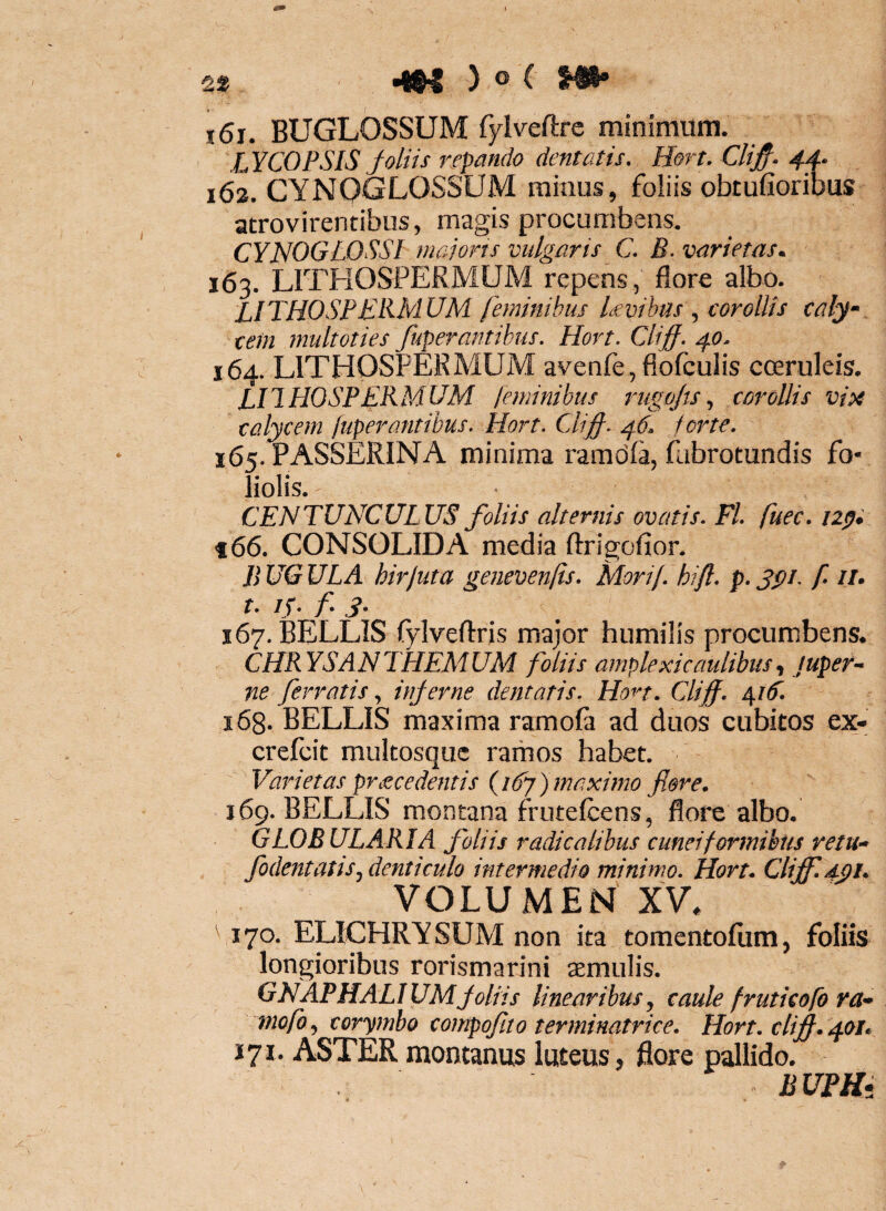 2t ^ )o( i6j. BUGLOSSUM fylveftre minimum. LYCOPSIS foliis repando dentatis. Hort. Clifi. 44. 162. CYNOGLOSSUM minus, foliis obtufioribus atrovirenribus, magis procumbens. CYNOGLOSSI rnajorts vulgaris C. B. varietas. 163. LITHOSPERMUM repens, flore albo. LITHOSPEBMUM feminibus Uvihas , corollis caly¬ cem 7nultoties fuperantibus. Hort. Cliff. 40. 164. LITHOSPERMUM avenfejfiofculis coeruleis. LIIHOSPERMUM feminibus rugojts., corollis vix calycem fuper antibus. Hort. Cfiff. 46. forte. 165. PASSERINA minima raradla, fabrotundis fo¬ liolis. CENTUNCULUS foliis alternis ovatis. FI. fuec. nyi t66. CONSOLIDA media ftrigofior. BUGULA hir Juta genevenfis. Morif. hifl. p.fpi- f it> t. /r- /• 3- 167. BELLIS fylveftris major humilis procumbens. CHRYSANTHEMUM foliis amplexicaulibiis., Juper- ne ferratis., inferne dentatis. Hon. Cliff. 41E. 168. BELLIS maxima ramofi ad duos cubitos ex- crelcit mukosquc ramos habet. Varietas procedentis fiEyfjnaximo flere. 169. BELLIS montana frutelcens, flore albo. GLOBULARIA foliis radicalibus cuneifomnibus retn- fodentatis, denticulo intermedio minimo. Hort. Cliff. xpi. VOLUMEN XV. ' 170. ELICHRYSUM non ita tomentoliim, foliis longioribus rorismarini aemulis. GNAPHALIUM foliis linearibus, caule frutieofo ra- mofo, corymbo compqffto terminatrice. Hort. cliff. 401. 171. ASTER montanus luteus, flore pallido. - BUFHi >1 . '