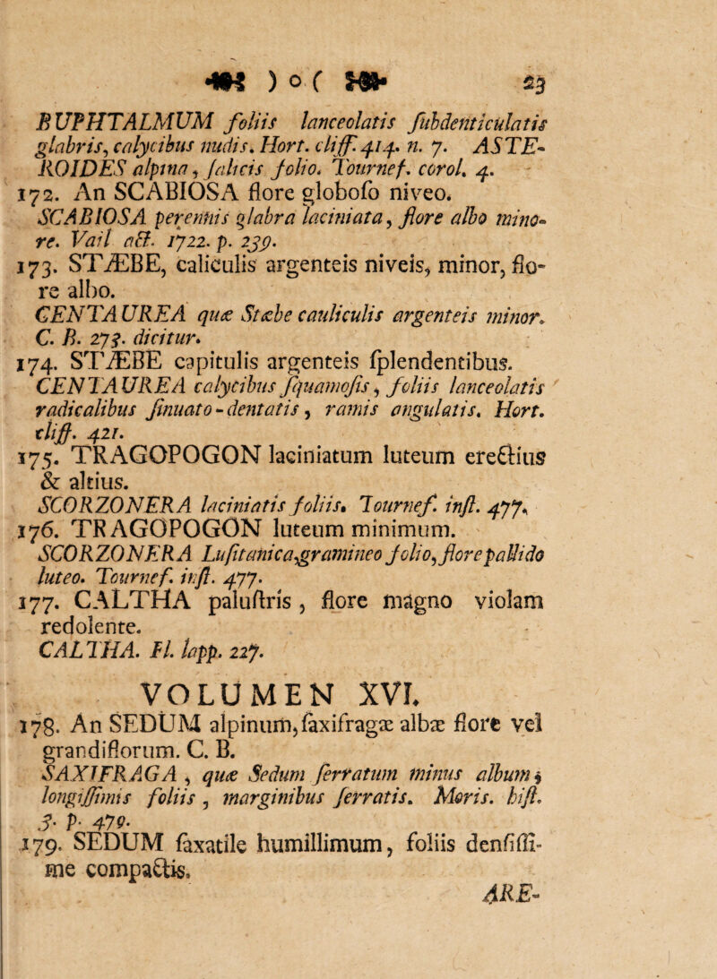 BUPHTALMUM foliis lanceolatis fuhdeftticulatis glah^is^ calycibus nudis. Hort. clijf^L^. n. 7. ASTE* liOIDES alpnia, Jahcis jolio* Toiirnef. coroL 4. 172. An SCABIOSA flore globofo niveo* SCABIOSA perenfiis qlabra laciniata^ flore alho mino^ re^ Vail aFl. /722. p. 2jg. J73. ST2EBE5 caliculis argenteis niveis^ minoFj flo¬ re albo. GEEITA URE A qu^e St^he cauliculis m^genteis minor. C. B. 27^. dicitur* 174. ST^BE capitulis argenteis fplendentibiis. CENTAUREA calycibus fquamojis^ foliis lanceolatis radicalibus Jinuato ^ dentatis ^ ramis angulatis, Hort. tlifl. 411. 175. TRAGOPOGON laeiniatum luteum ereftius & altius. SCORZONERA Inciniatis foliist Tournef infl. 477., 176. TRAGOPOGON luteum minimum. SCORZONERA Lufltanicagramineo Jolio^florepaUido luteo. Tournef. inft. 477- J77. CALTHA paluftris, flore magno violam redoiente. CALTHA. H. bpp. 22% VOLUMEN XVL 178. An SEDtJM alpinum^ftxifragas albs flore vei grandiflorum. C. B. SAXIFKA.GA qute Sedum fertatum minus album i longijfimis foliis , marginibus /erratis. Moris, hift. 3- P- 479- J79. SEDUM iaxatile humillimum, foliis denflfli- me compaflis. 4RE-