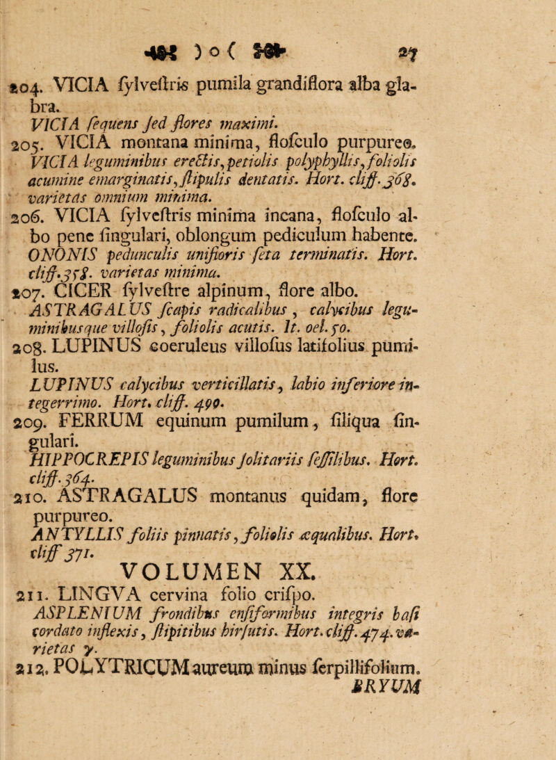 »04. VICIA fylvellris pumila grandiflora alba gla¬ bra. VICIA fequens Jed flores maximi. 205. VICIA montana minima, flofculo purpureo. VICI A leguminibus ereClis,petiolis polyphyllis, foliolis acumine emarginatis, flipulis dentatis. Hort. cufl.J^S, varietas omnium minima. 206. VICIA lylvcftris minima incana, flofculo al¬ bo pene Angulari, oblongum pediculum habente, ONONIS pedunculis unifloris feta terminatis. Hort. varietas minima, »07. CICER fylveftre alpinum-, flore albo. ASTRAGALUS /capis radicalihus ^ calycibus kgu- minibusque villqfis ^ foliolis acutis. It. oel.fo. aog. LUPINUS coeruleus villofiis latifolius pumi¬ lus. LUPINUS calycibus verticillatislabio inferiore in^ tegevrimo, Hort* cliff. 209. FERRUM equinum pumilum ^ filiqua fin- gulari. HIPPOCREP IS leguminibus Jolit aviis fefilihus, Hort. 210. ASTRAGALUS montanus quidam^ flore purpureo. ANTYLLIS foliis pinnatis ^ folidis ecqualibus, Hort* 371- VOLUMEN XX. 211. LINGVA cervina folio crifpo. ASPLENIUM frondibus enjiformibus integris hafi cordato inflexis^ ftipitibus hirlutis, Hort,cUf, vietas y. a 12. POLYTRICUMaureiim minus ferpillifoKum. MKYUM