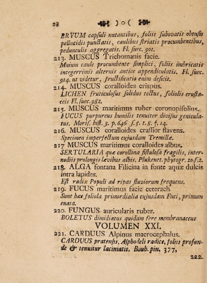 \ BRYUM capfuli mtantiius^ foliis fuhvatis ohtufis pllucidis pmBatis, caulibus flriatis procumbentibus^, pedunculis aggregatis. Flfufc.^or. aig. MUSGUS Triehomanis facie. Mniiim caule procumbente fimplici, foliis imbricatis integerrimis alternis antice appendiculam. H, fuec^ ut videtur.^ JruBificariQ enim deficit. 2j4. muscus coralloides crispus. LICHEN frutkulofus folidus tcEius foliolis crufia-^ teis FL fuec.^Sz* 215. MUSCUS maridfnus ruber coronopifolius^ f UCUS purpureus humilis tenuiter dmfusgenicula-^ tus. Morif hif.j. p.6/fS fif. /4. 216. MUSCUS Gordloides craflior flavens.. Specimen imperfeBum cujusdam TremilU. 217 MUSCUS maridmus coralloides albus». SEKTULARTA qu£ corollina fiflulofa fragilis^ inter^ mdiis prolongis levibus alhis. Flukenet.phytogr. lofiz. 218. ALGA fontana Filicina in fonte aqu^ dulcis intra lapides. Efl radix Populi ai ripas fiumorum frequens. 219. FUCUS maritimus facie ceteracL Sunt foliola primordialia cujusdam Fud.^,primum enata. 220. FUNGUS auricularis ruber. BOLETUS dimidiatus quidam fere membranaceus> VOLUMEN XXL 221. CARDUUS Alpinus macrocephalus, CARDUUS pratenfif, AlphoMi radice^ foliis profutt^ sfe t emitur lacmiatis, Bauh.pin. 377,