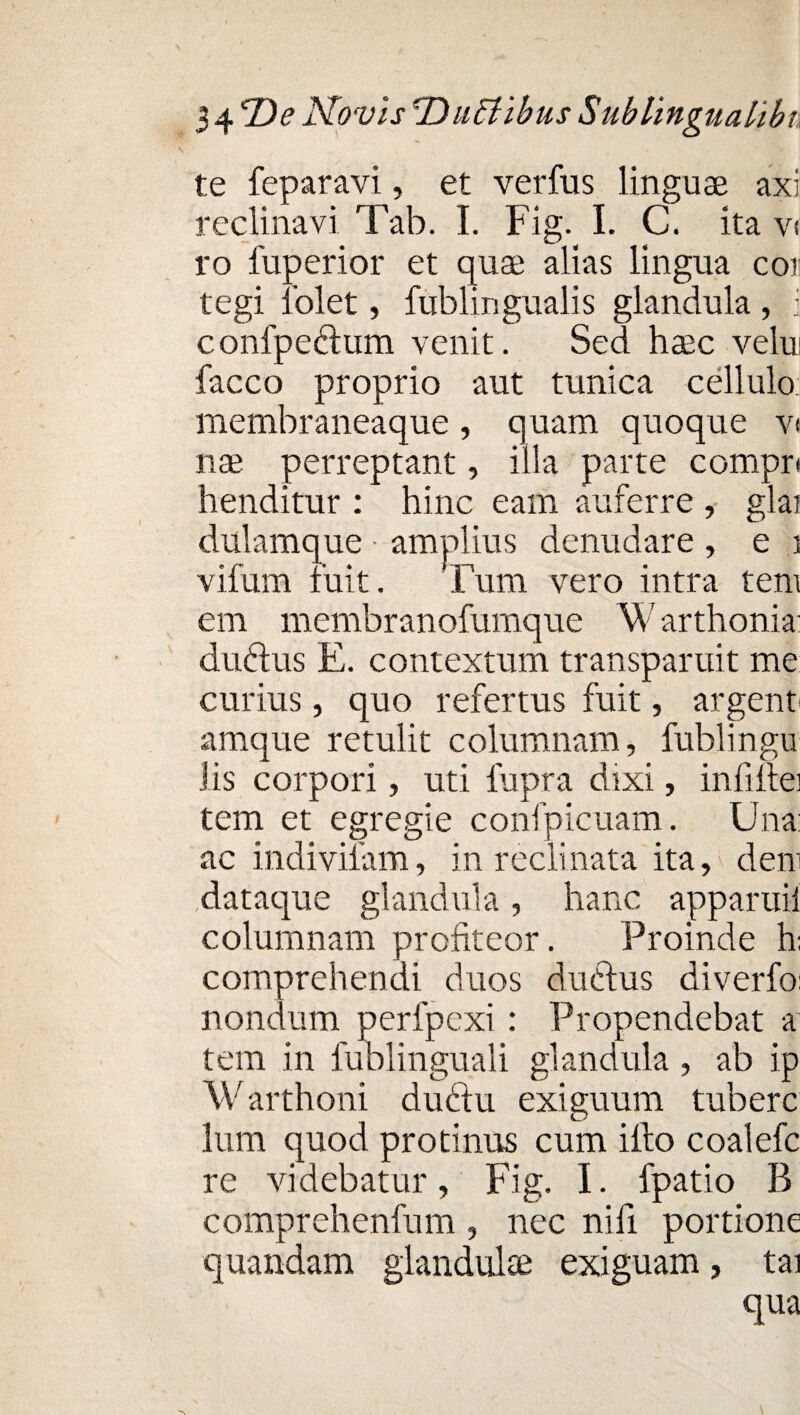 \ - te feparavi, et verfus linguae axi reclinavi Tab. I. Fig. I. C. ita v< ro luperior et qua; alias lingua cor tegi 1’olet, fublingualis glandula, i confpeftum venit. Sed haec velui facco proprio aut tunica cellulo membraneaque, quam quoque v< nae perreptant, illa parte compr henditur : hinc eam auferre , glai dulamque • amplius denudare , e i vifum ruit. Tum vero intra tem em membranofumque W arthonia dudtus E. contextum transparuit me curius, quo refertus fuit, argent amque retulit columnam, fublingu Jis corpori, uti fupra dixi, inii ilei tem et egregie confpicuam. Una: ac indivifam, in reclinata ita, dem dataque glandula, hanc apparui! columnam profiteor. Proinde h; comprehendi duos duddus diverfo: nondum perfpexi: Propendebat a tem in fublinguali glandula, ab ip Warthoni ductu exiguum tubere lum quod protinus cum ilio coalefc re videbatur, Fig. I. fpatio B comprehenfum , nec nifi portione quandam glandulte exiguam, tai qua