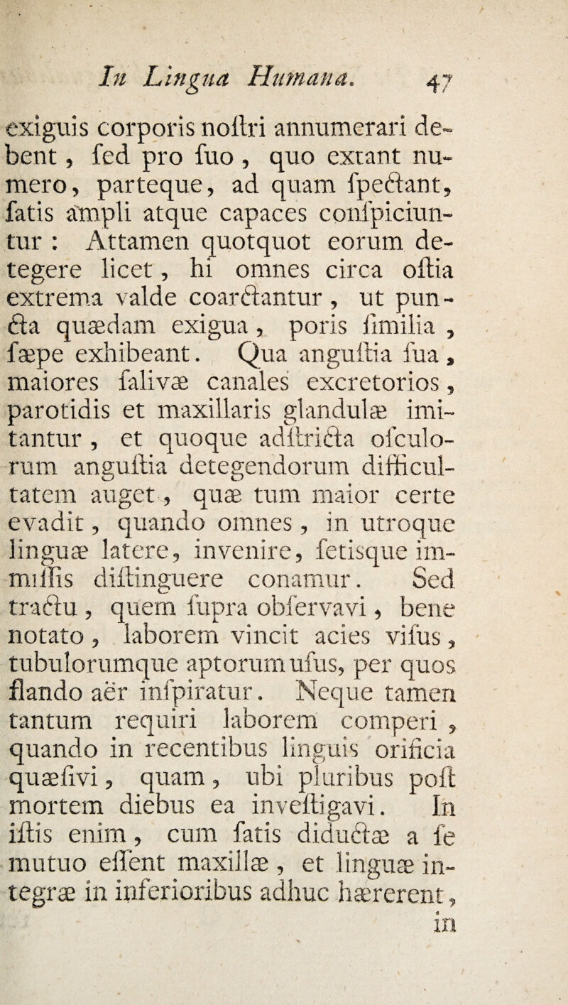 exiguis corporis nollri annumerari de¬ bent , fed pro fuo , quo extant nu¬ mero, parteque, ad quam fpe&ant, fatis ampli atque capaces conipiciun- tur : Attamen quotquot eorum de¬ tegere licet, hi omnes circa oitia extrema valde coartlantur , ut pun- £la quaedam exigua, poris fimi lia , fsepe exhibeant. Qua angullia fua , maiores falivae canales excretorios, parotidis et maxillaris glandulae imi¬ tantur , et quoque adltriCta ofculo- rum anguilla detegendorum difficul¬ tatem auget, quae tum maior certe evadit, quando omnes, in utroque linguae latere, invenire, fetisque im- miffis diilinguere conamur. Sed tractu , quem fupra obfervavi, bene notato , laborem vincit acies vilus, tubulorumque aptorum ufus, per quos flando aer infpiratur. 'Neque tamen tantum requiri laborem competi , quando in recentibus linguis orificia quae fi vi, quam , ubi pluribus poft mortem diebus ea in velli gavi. In illis enim , cum fatis didudlae a fe mutuo effient maxillae , et linguae in¬ tegra in inferioribus adhuc haererent, in