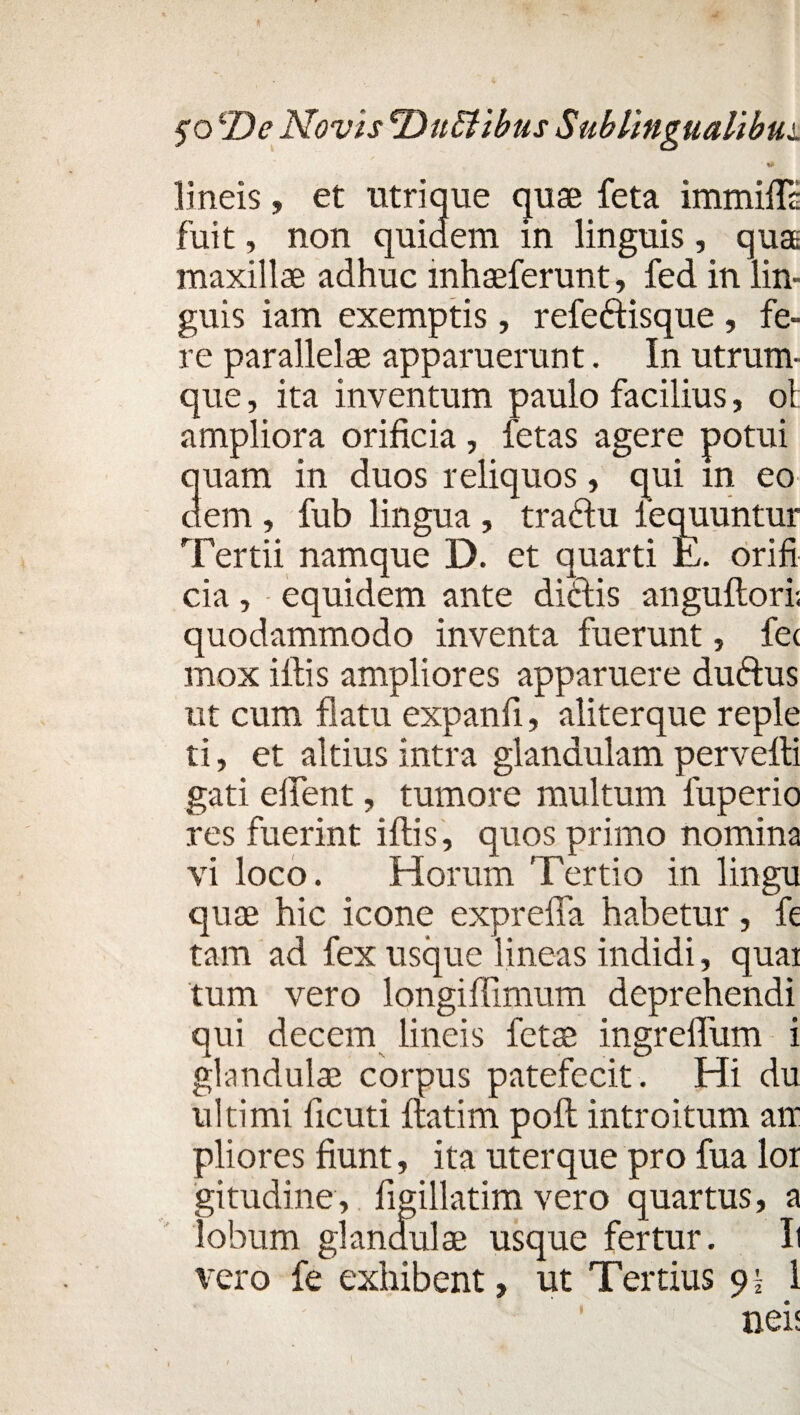 ** lineis, et utrique quae feta immiflc fuit, non quidem in linguis, quae maxillae adhuc mhaeferunt, fed in lin¬ guis iam exemptis, refe&isque , fe¬ re parallelae apparuerunt. In utrum¬ que , ita inventum paulo facilius, ot: ampliora orificia , fetas agere potui quam in duos reliquos, qui in eo dem , fub lingua , tractu iequuntur Tertii namque D. et quarti H. orifi cia, equidem ante dictis anguftori; quodammodo inventa fuerunt, fec mox illis ampliores apparuere duftus ut cum flatu expanfi, aliterque reple ti, et altius intra glandulam pervelli gati edent, tumore multum luperio res fuerint illis, quos primo nomina vi loco. Horum Tertio in lingu quae hic icone exprefla habetur, fe tam ad fex usque lineas indidi, quai tum vero longiffimum deprehendi qui decem lineis fetae ingreflum i glandulae corpus patefecit. Hi du ultimi ficuti Itatim poli introitum an pliores fiunt, ita uterque pro fua lor gitudine, figillatim vero quartus, a lobum glandulae usque fertur. Ii vero fe exhibent, ut Tertius 9 i 1 nei;