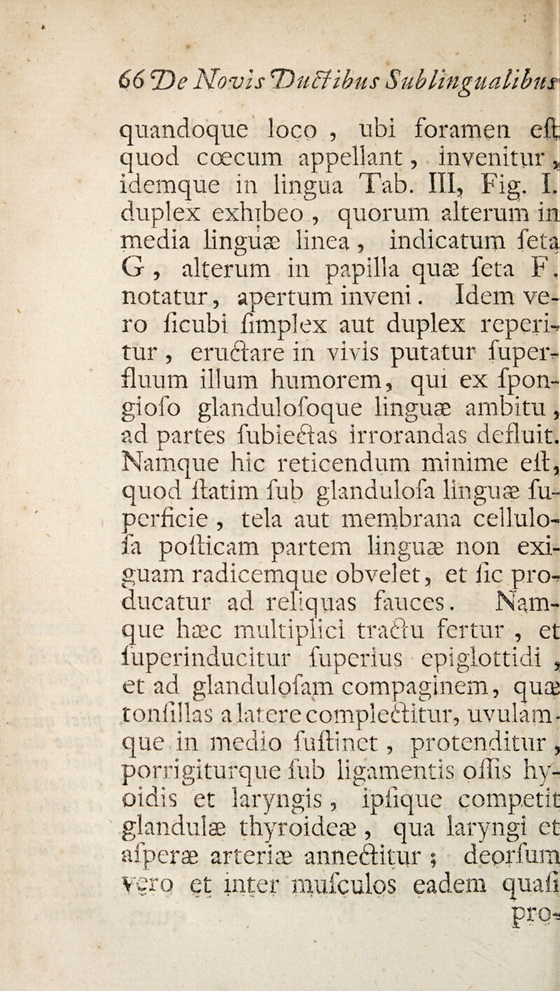 quandoque loco , ubi foramen eiit quod coecum appellant, invenitur * idemque in lingua Tab. III, Fig. I. duplex exhibeo , quorum alterum in media linguae linea , indicatum feta G , alterum in papilla quae feta F. notatur, apertum inveni. Idem ve¬ ro ficubi fimplex aut duplex repcrb tur , cruditare in vivis putatur fuper- fluum illum humorem, qui ex fpon- giofo glandulofoque linguae ambitu, ad partes fubieftas irrorandas defluit. Namque hic reticendum minime eil, quod fiat i m fub glandulofa linguae fu- ocrficie , tela aut membrana cellulo- fa poflicam partem linguae non exi¬ guam radicemque obvelet, et iic pro¬ ducatur ad reliquas fauces. Nam¬ que haec multiplici traditu fertur , et iuperinducitur fuperius epiglottidi , et ad glandulofam compaginem, qua? tonlillas a latere compleaitur, uvulam- que in medio fuflinct, protenditur , porrigiturque fub ligamentis offis hy- oidis et laryngis, ipiique competit glandulae thyroidea?, qua laryngi et afperae arteriae annedditur ; deorfum vero et inter mufculos eadem quali pr-cb