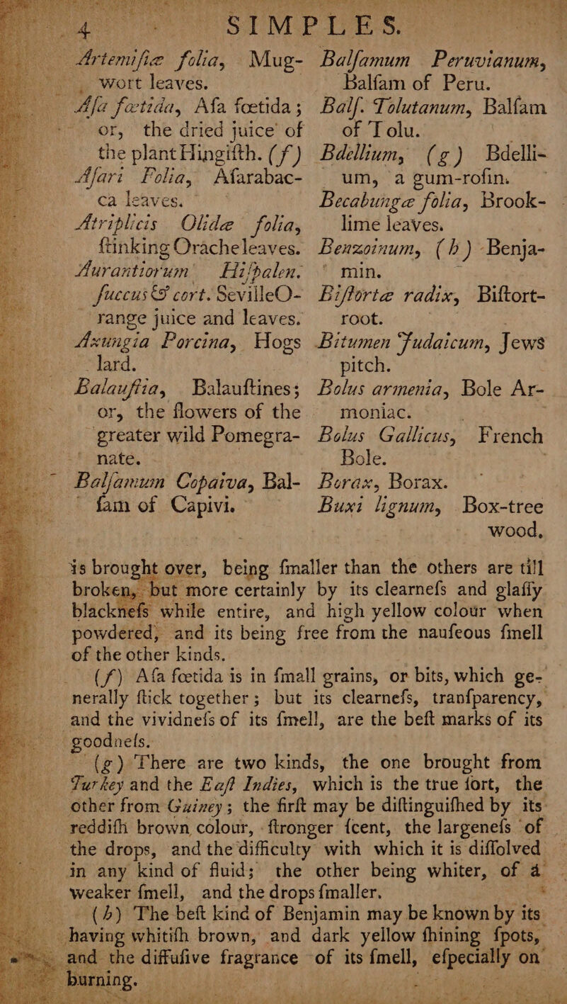 “Wh ia: Sb SN Bets Bik Na) ld mae te ig fut we Po sa? st M Artemifie folia, Mug- ~ . wort leaves. Aja fectida, Afa fcetida ; the plant Hingifth. (f) Afari Folia, Afarabac- ca leaves. © pe Atriplicis Olide folia, ee {tinking Orache leaves. Be Aurantiorum Hilpalen. fuccus &amp; cort. SevilleO- - Yange juice and leaves. Axungia Porcina, Hogs dard. Balauftia, Balauftines; or, the flowers of the greater wild Pomegra- nate. - Baljaium Copaiva, Bal- iar bo ao 8 er 1 eee Balfamum Peruvianum, ~ Balfam of Peru. Balf. Tolutanum, Balfam of 'Tolu. um, a gum-rofin. Becabunge folia, Brook- lime leaves. Benzoinum, (h ) Benja- ' min. ; Biftorte radix, Biftort- root. pitch. Bolus armenia, Bole Ar- moniac. ae Bolus Gallicus, French Bole. . Borax, Borax. Buxi lignum, Box-tree fam of Capivi. | wood, is brought over, being fmaller than the others are till broken, but more certainly by its clearnefs and glafiy ‘ae blacknefs while entire, and high yellow colour when powdered, and its being free from the naufeous fmell of the other kinds. | (f) Afa feetida is in fmall grains, or bits, which ge- nerally ftick together; but its clearnefs, tranfparency, __and the vividneis of its fmell, are the beft marks of its -. goodnels.: -(g) There are two kinds, the one brought from Turkey and the Eaf Indies, which is the true fort, the other from Gainey; the firft may be diftinguifhed by its: reddifh brown colour, -ftronger {cent, the largenefs of | the drops, and the difficulty with which it is diffolved in any kind of fluid; the other being whiter, of 4 weaker fmell, and the drops fmaller. * _ (4) The beft kind of Benjamin may be known by its having whitifh brown, and dark yellow fhining fpots, the diffufive fragrance of its fmell, efpecially on — A eR Se pee ne he Og) ee ee ares ae OR epg) aes By a r na = CSS ee fe