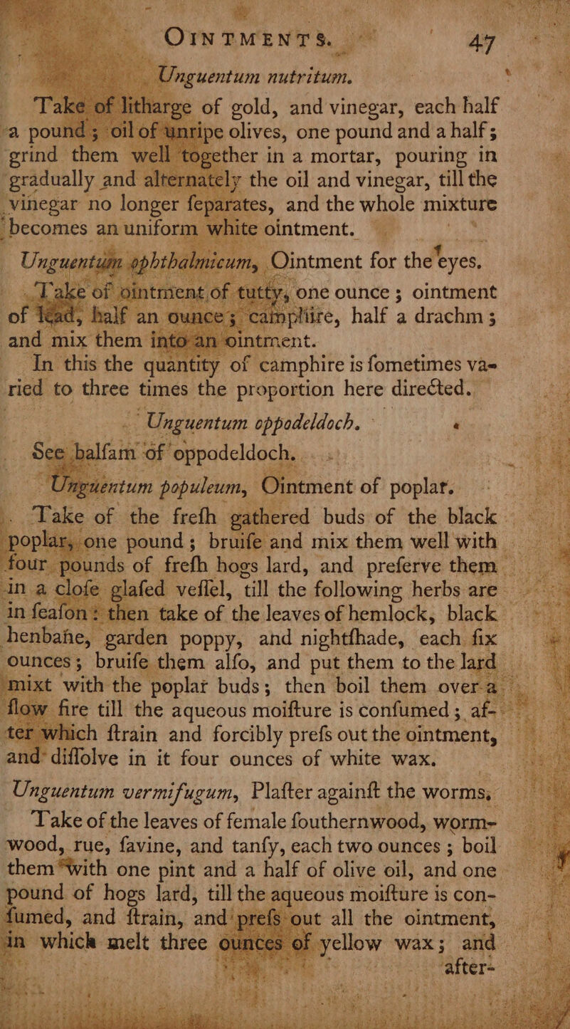 RRR a OI TMENTS, | ge) eS ny. Bs Inguentum nutritum. nami : of gold, and vinegar, each si well her in a mortar, pouring it #. ‘gradually : aii alte ‘a the oil and vinegar, till the , vinegar no longer fe becomes : an nheg: m ‘Tn dis oe quan of camphire is fometimes va- ; nied to sit times the proportion here directed. ‘ea ~ Unguentum oppodeldoch. 4 e balf sree ‘oppodeldoch,. re Ungiientum populeum, intment of poplar. tile of the feet . buds of the ack rebed #then tak poppy, and nioladhade, each ae ounces ; bruife. them alfo, and put them to the lard _ “he ee Ley ixt with the poplar buds; then boil them overa 8 y fire till the aqueous moifture is confumed ; abe so ie ‘which ftrain and forcibly prefs out the ointment, The ad-diffolve in it four ounces of white wax. ey. Unguentum vermifugum, Plafter againft the worms, Take of the leaves of female fouthernwood, worm~ wood, rue, favine, and tanfy, each two ounces ; boil them “with one pint and a half of olive oil, andone pound of hogs lard, till the aqueous moiftare is con- : umed, and ftrain, and’ prefs: put all the ointment, r a f yellow wax; and afters |.72