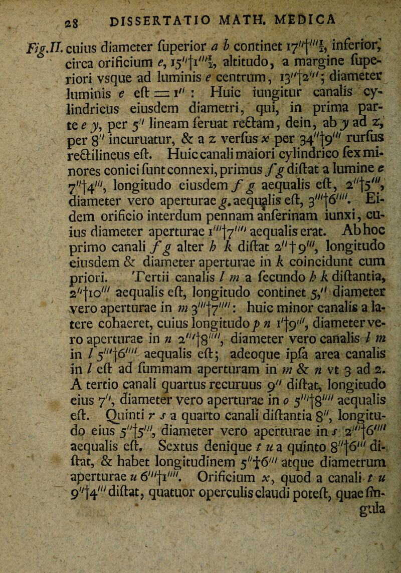 .11. cuius diameter fuperior a b continet 17'^'% inferior,’ ' circa orificium e, altitudo, a margine fupe- riori vsque ad luminis e centrum, I3f&'; diameter luminis e eft —: 1 : Huic iungitur canalis cy¬ lindricus eiusdem diametri, qui, in prima par¬ te e y, per 5 lineam feruat refitam, dein, ab y ad z, per 8 incuruatur, & a z verfus x per 34t9' rurfus rectilineus eft. Huic canali maiori cylindrico fex mi¬ nores conici funt connexi, primus f g diftat a lumine e 7|4W, longitudo eiusdem/*g aequalis eft, diameter vero aperturae g. aequalis eft, 3//'f6////. Ei¬ dem orificio interdum pennam anferinam iunxi, cu¬ ius diameter aperturae aequalis erat. Ab hoc primo canali f g alter h k diftat at9,,/, longitudo eiusdem & diameter aperturae in k coincidunt cum priori. Tertii canalis / m a fecundo h k diftantia, 2/'|io,// aequalis eft, longitudo continet 5,'' diameter vero aperturae in m 3'//‘j’7,///: huic minor canalis a la¬ tere cohaeret, cuius longitudo^» n diameter ve¬ ro aperturae in n z/'[8'///, diameter vero canalis l m in / aequalis eft; adeoque ipfa area canalis in l eft ad fummam aperturam in m & n vt 3 ad 2. A tertio canali quartus recuruus 9 diftat, longitudo eius 7, diameter vero aperturae in 0 5,//j8'/// aequalis eft. Quinti r s a quarto canali diftantia 8, longitu¬ do eius 5//f5///, diameter vero aperturae in s 2'j6/w aequalis eft. Sextus denique tu a quinto 8U]6“' di¬ ftat, & habet longitudinem s^111 atque diametrum aperturae u Orificium x, quod a canali t u 9|4//y diftat, quatuor operculis claudi poteft, quae fin-