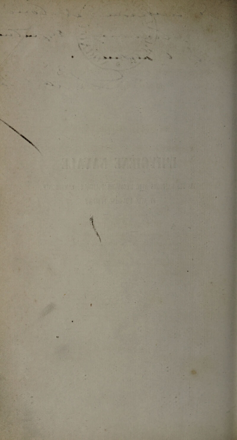 » .. +•* H * ' » > •v * * - h . ' * i* * ■ - *V \ \ -N » I « i