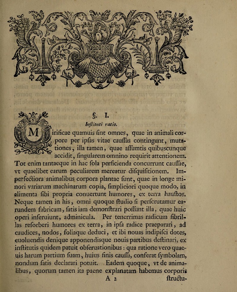 bijlituti ratio. irificae quamuis fint omnes, quae in animali cor¬ pore per ipfas vitae cauflas contingunt, muta¬ tiones , illa tamen, quae aflumtis quibuscunque accidit, lingularem omnino requirit attentionem. Tot enim tantaeque in hac fola perficienda concurrunt cauffae, vt quaelibet earum peculiarem mereatur difquifitionem. lm- perfe<Siora animalibus corpora plantae funt, quae in longe mi¬ nori variarum machinarum copia, fimpliciori quoque modo, in alimenta libi propria conuertunt humores, ex terra hauftos. Neque tamen in his, omni quoque ftudio (i perfcrutamur ea- rundem fabricam, fatisiam demonftrari pofliint illa, quae huic operi inferuiunt, adminicula. Per tenerrimas radicum fibril¬ las reforberi humores ex terra, in ipfa radice praeparari, ad caudices, nodos, foliaque deduci, et ibi nouas indipifci dotes, euoluendis denique apponendisque nouis partibus deftinari, ex inftitutis quidem patuit obferuationibus: qua ratione vero quae- uisharum partium fuam, huius finis caufla, conferat fymbolam, nondum fatis declarari potuit. Eadem quoque, vt de anima¬ libus, quorum tamen ita paene explanatam habemus corporis A 2 ftru&u-